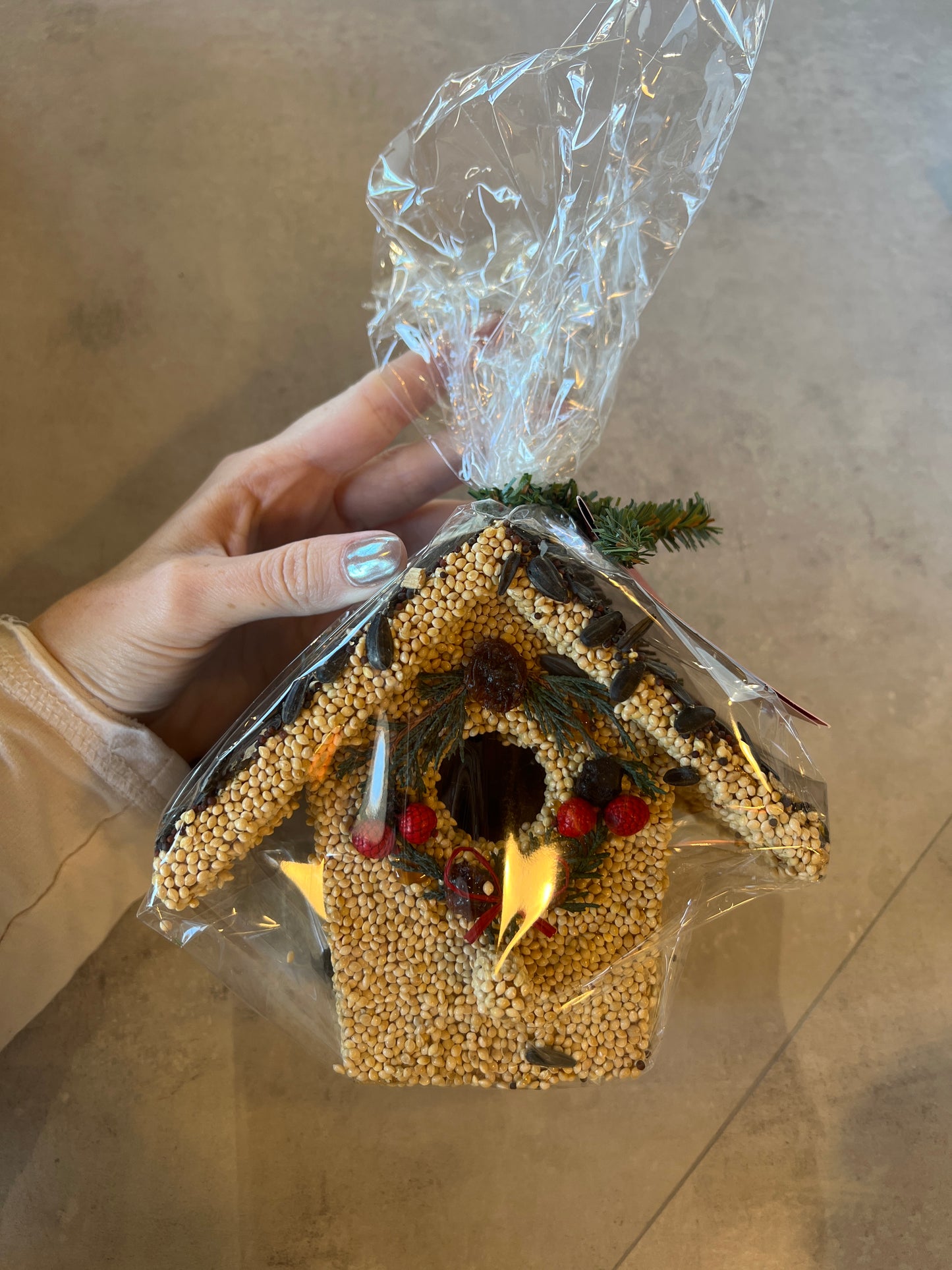 Christmas Bird Seed Cottage