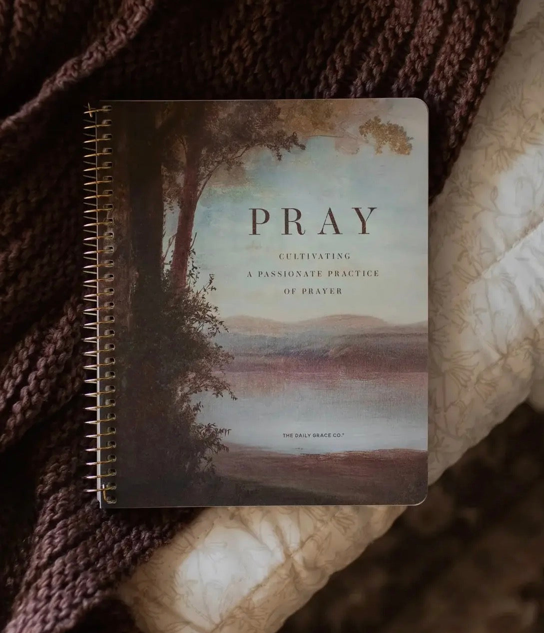 Pray Bible Study