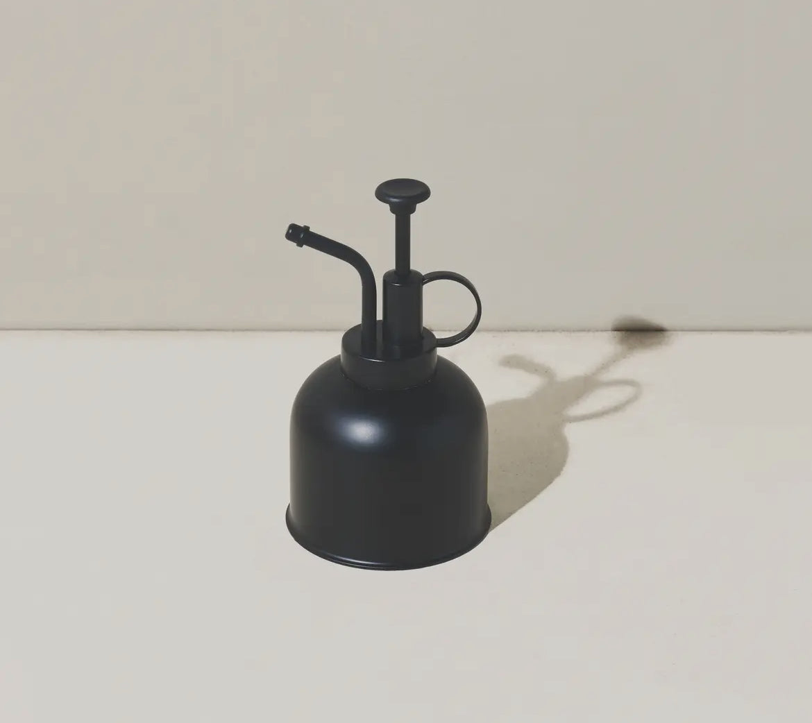 Black Mister
