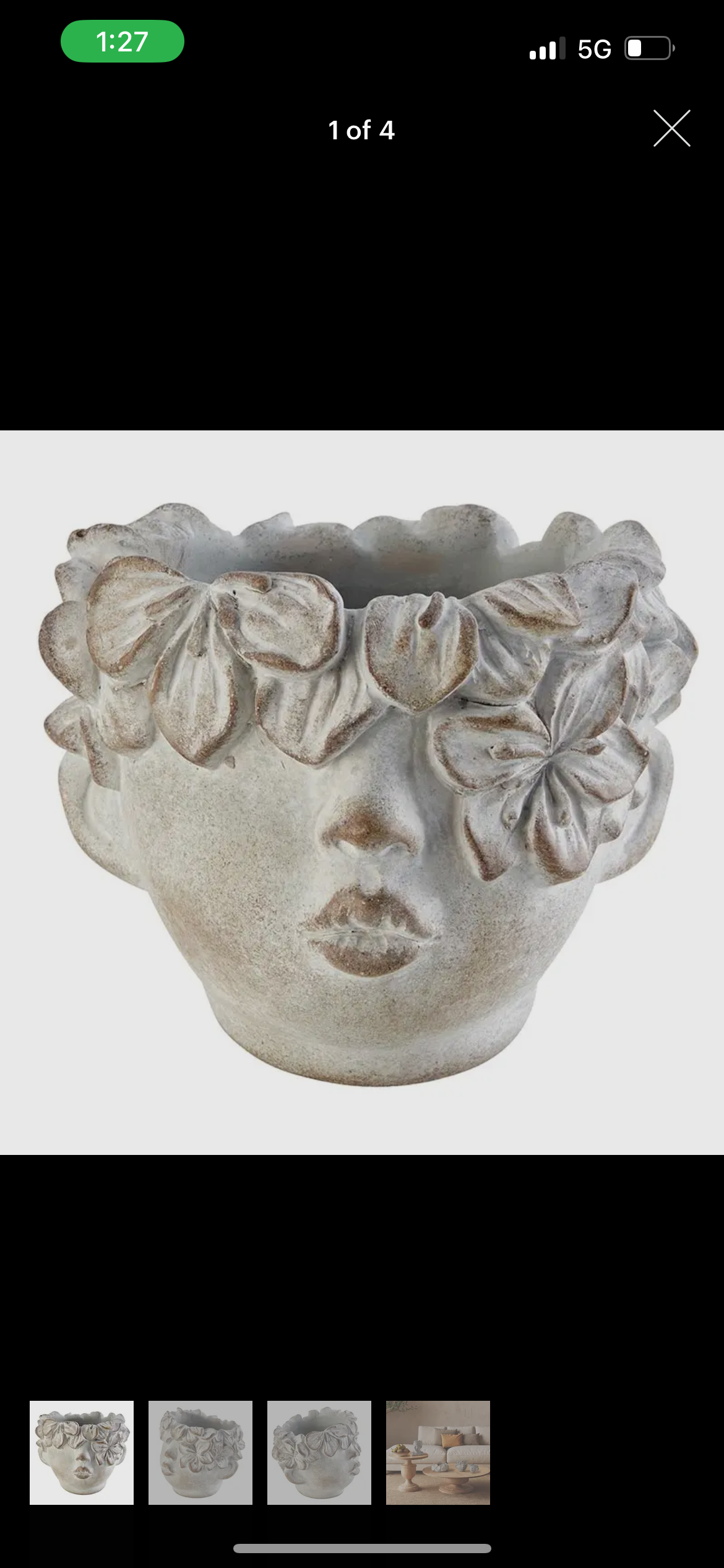 Cement Pot