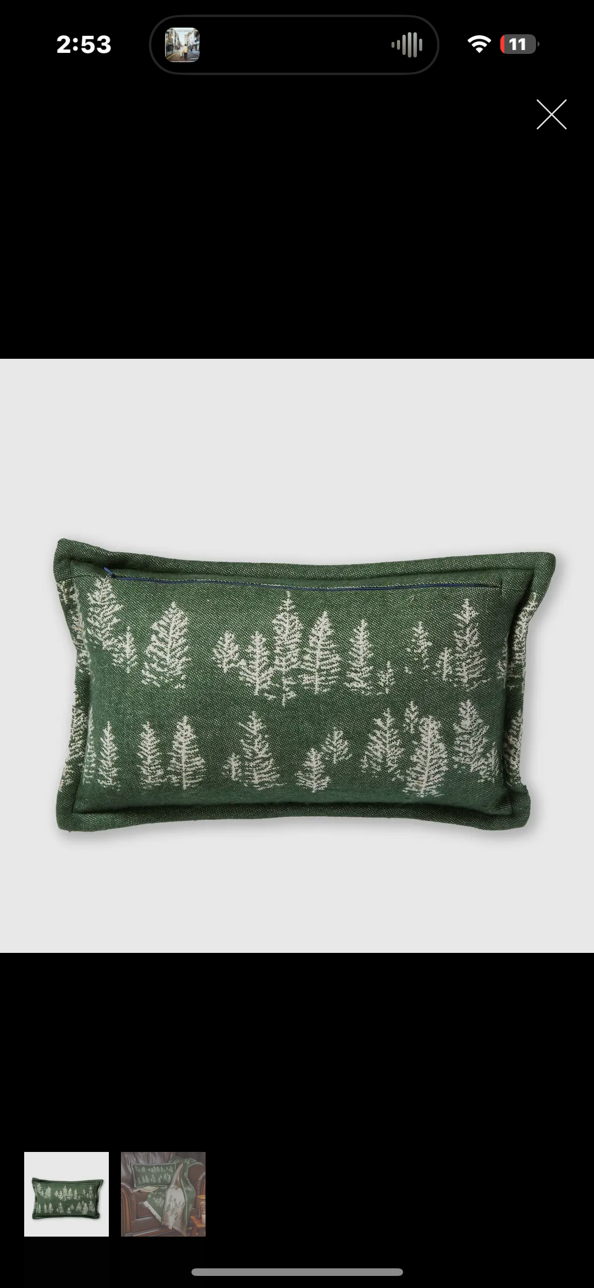 aspen pillow