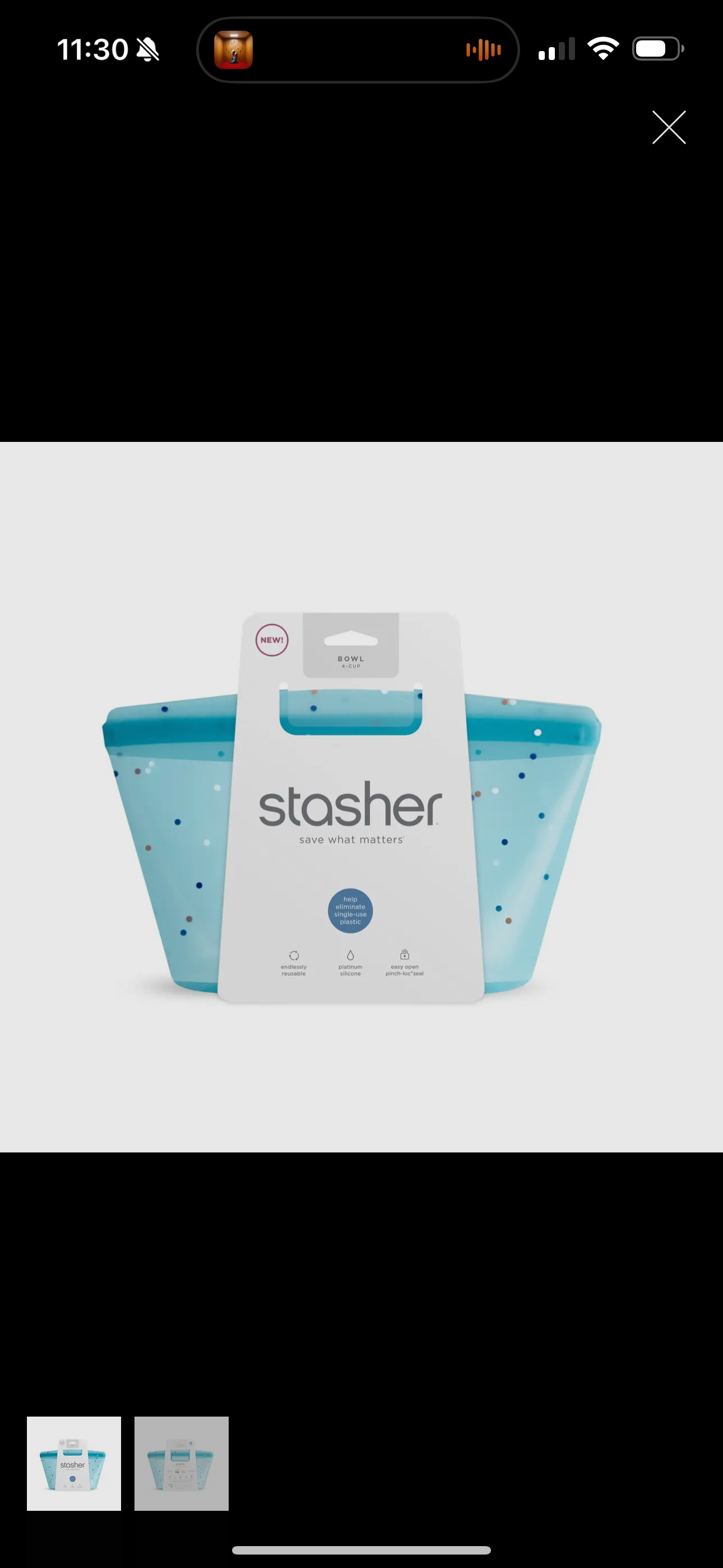 Stasher Bowl