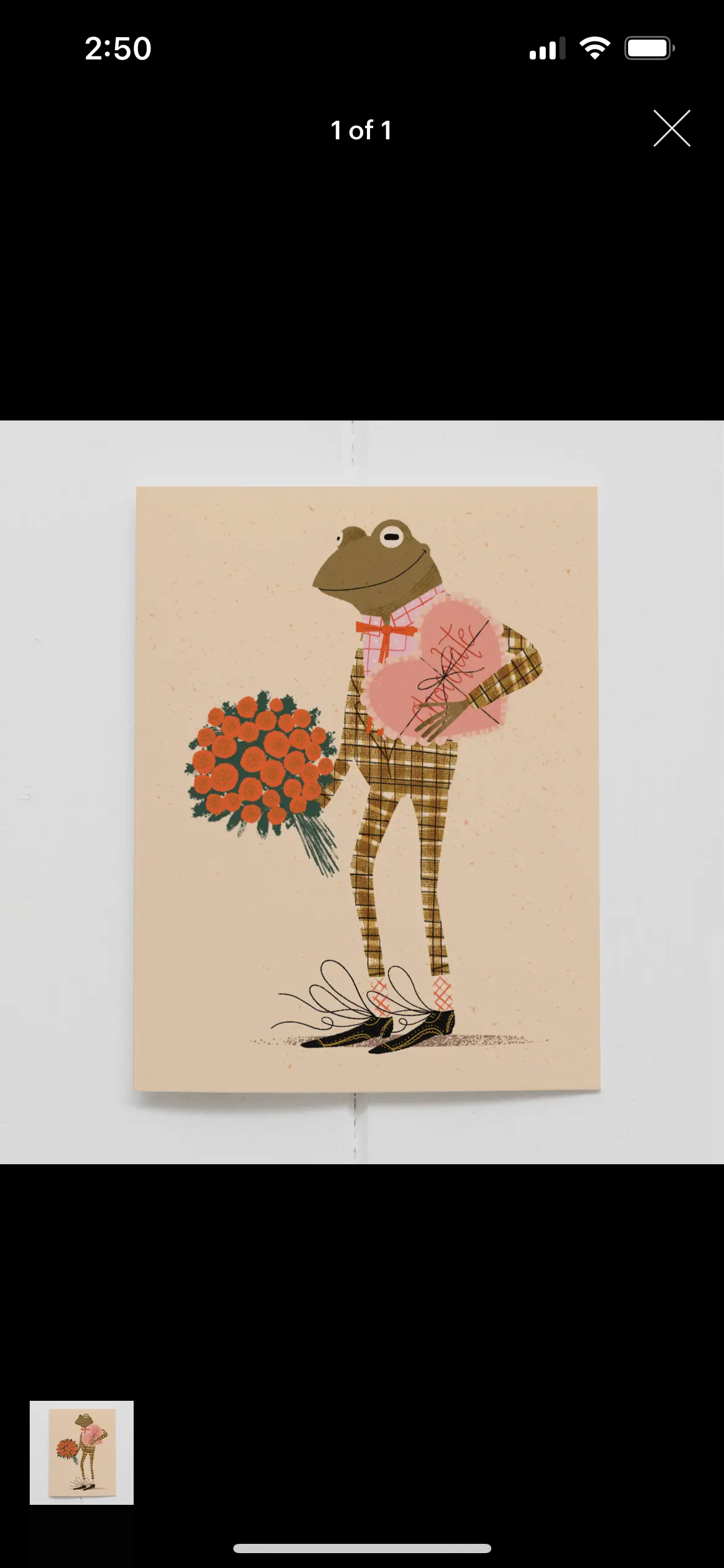 Olive & Co. Card