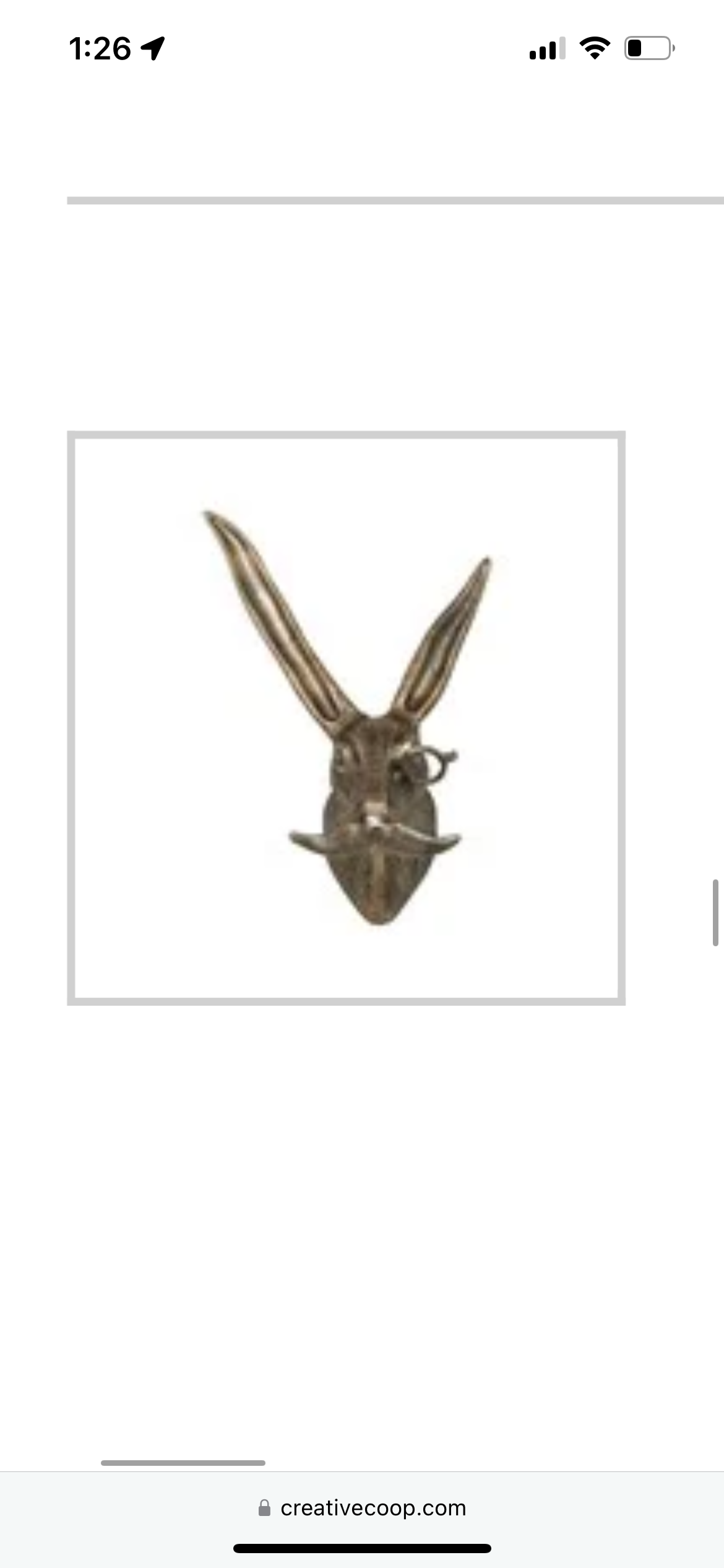 Fancy Rabbit Wall Decor