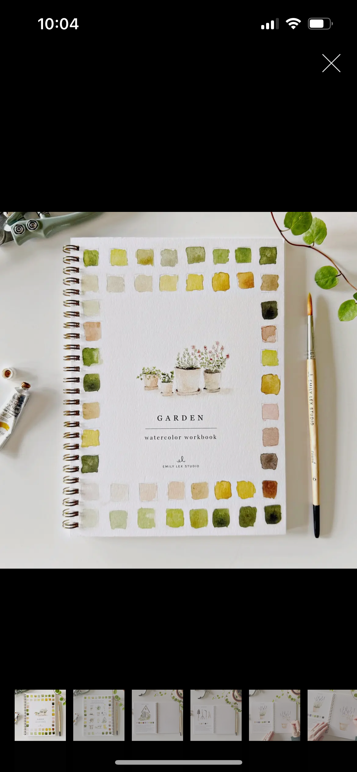 Watercolor Workbook