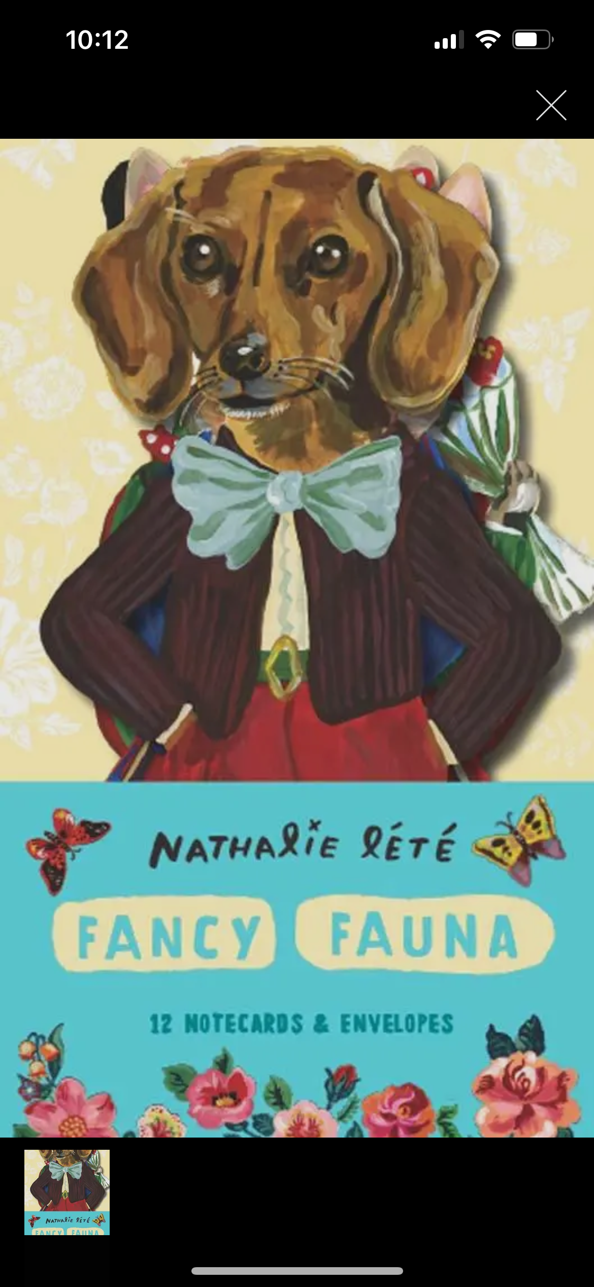 Fancy Fauna