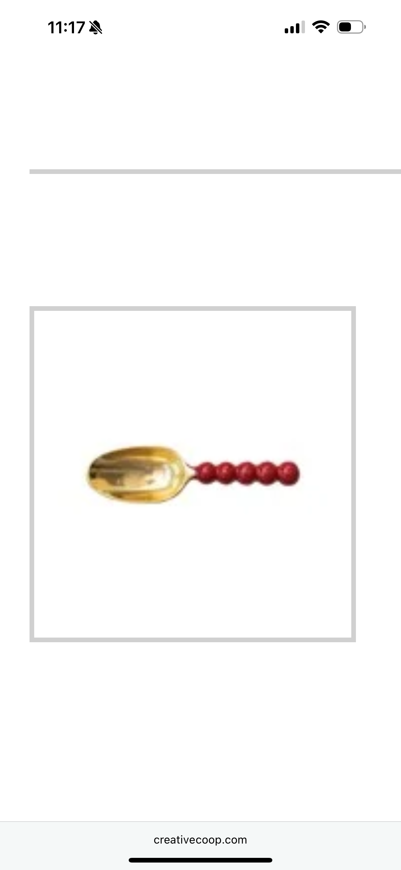 Enameled Scoop