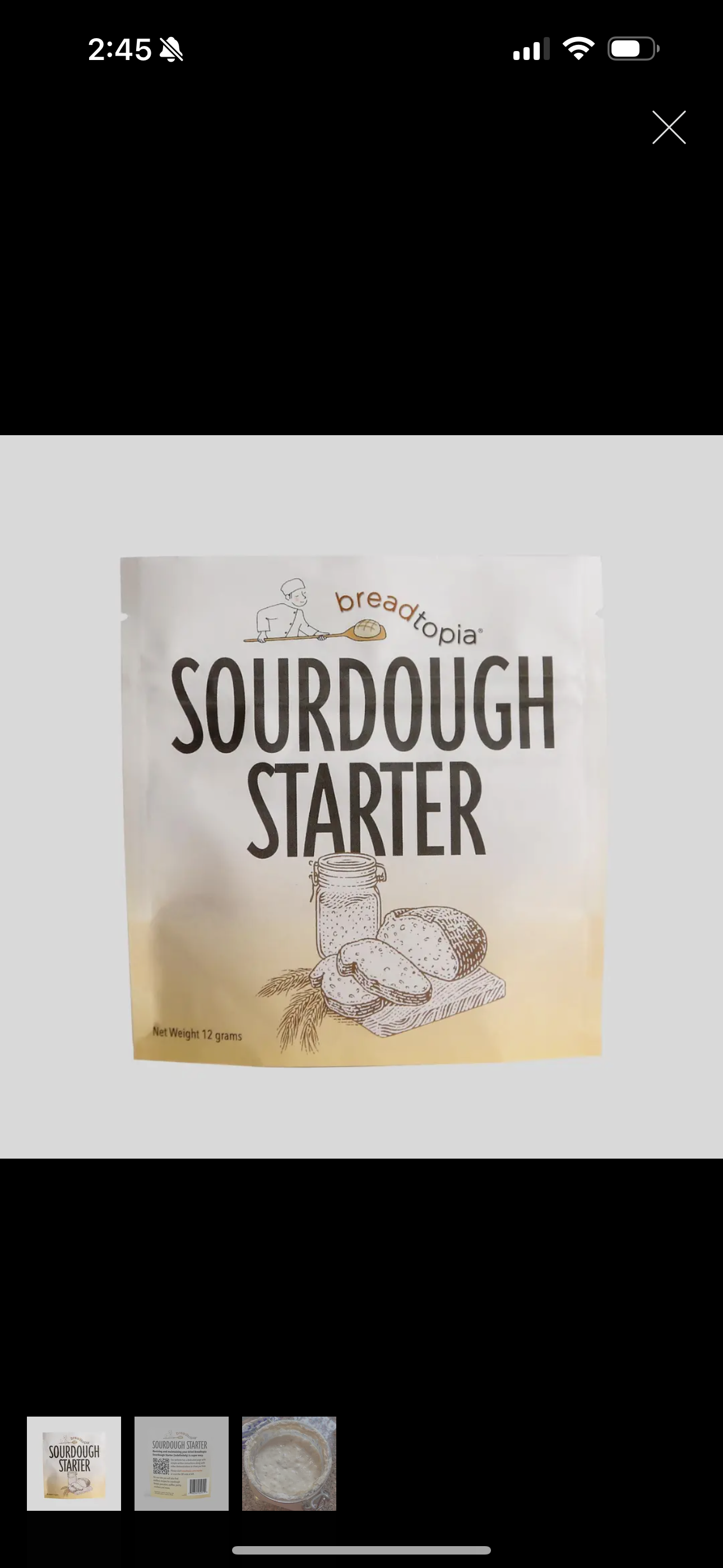 Sourdough Starter