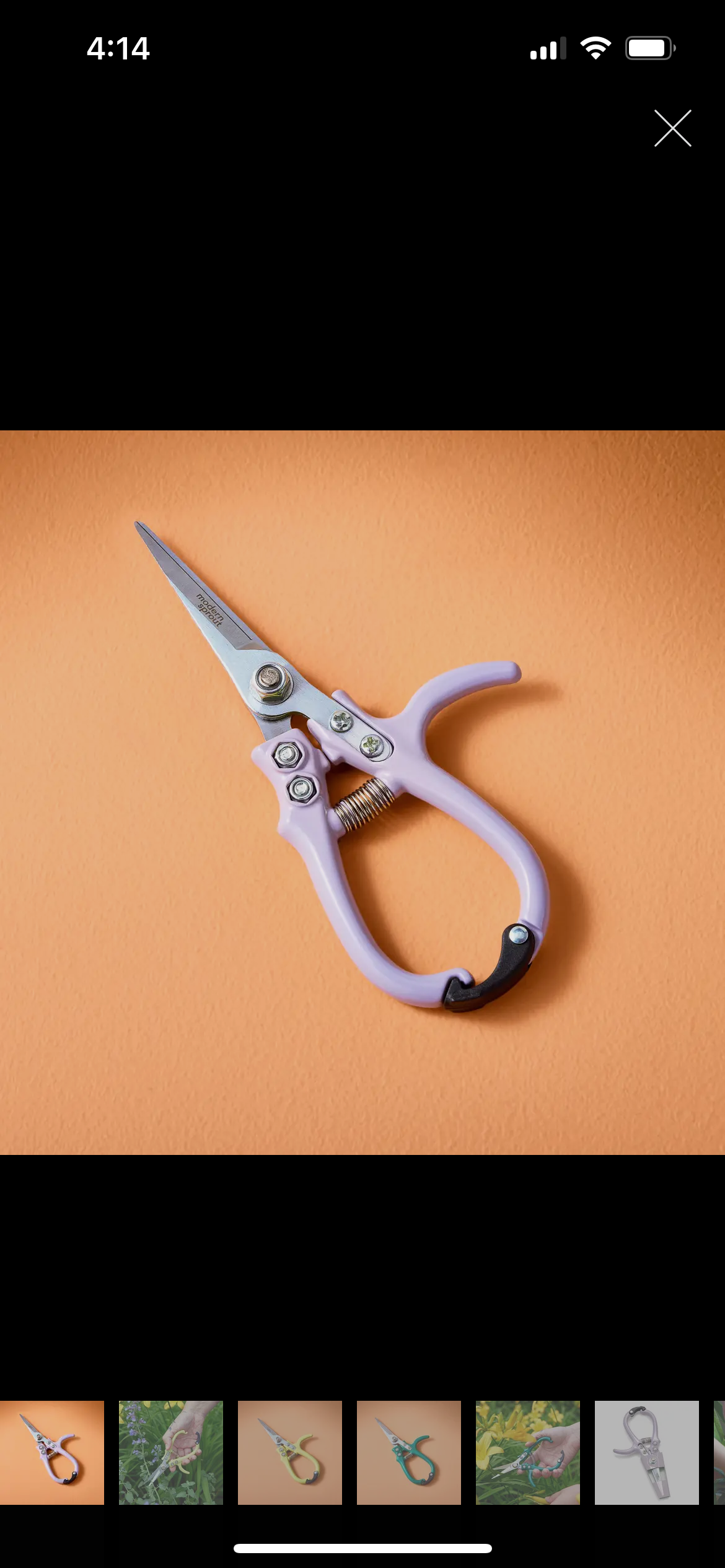 Lavender Garden Shears