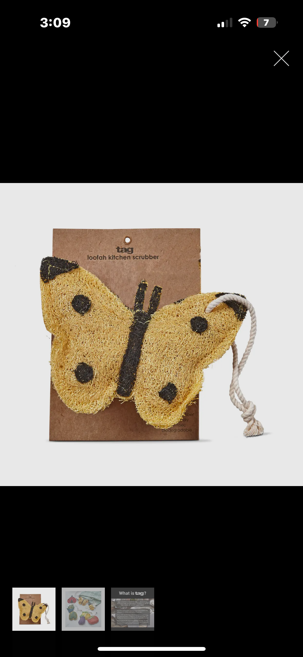butterfly scrubby