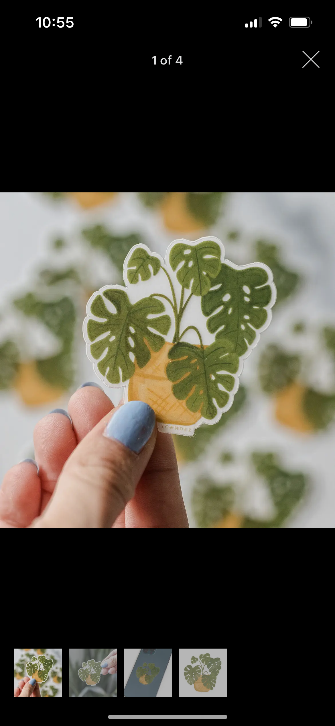 Monstera Sticker