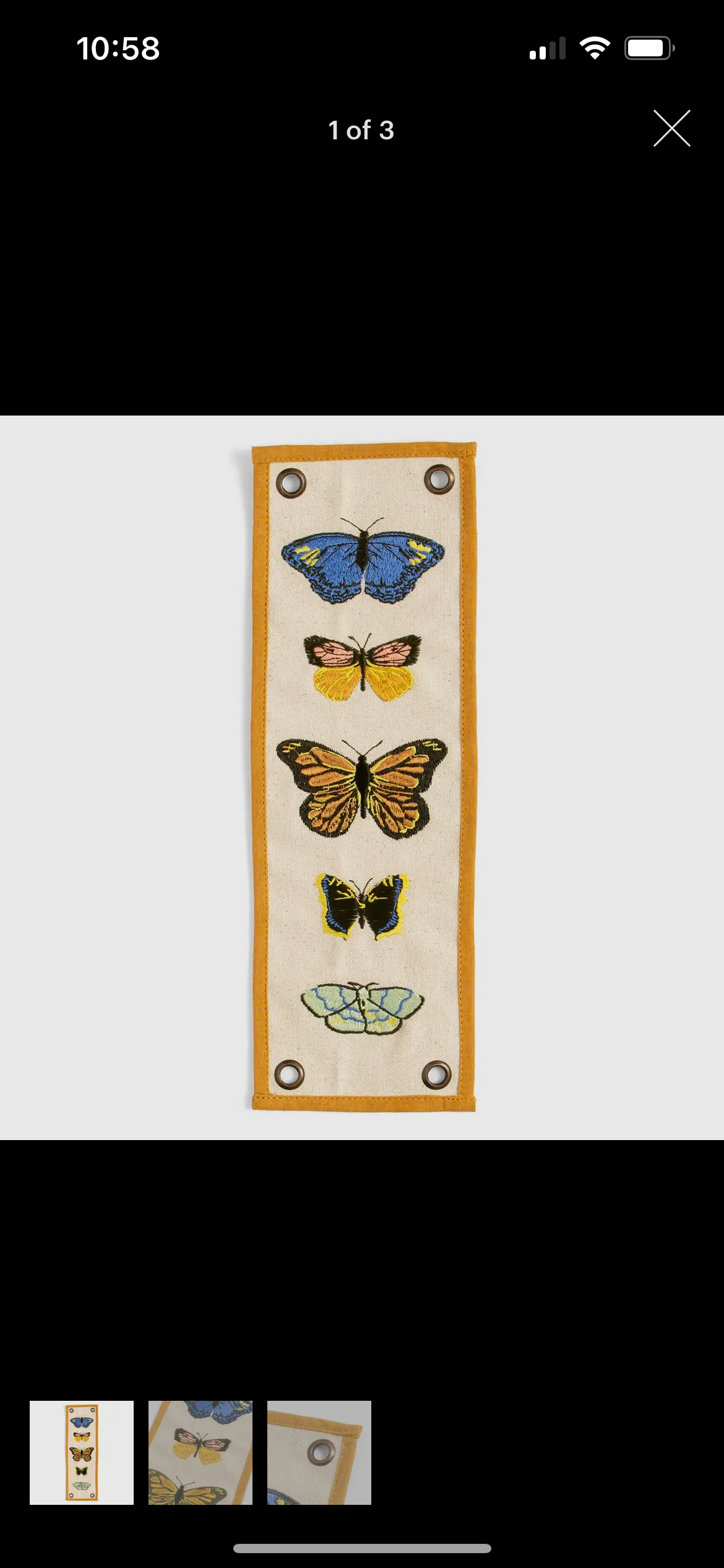Butterfly Canvas Banner