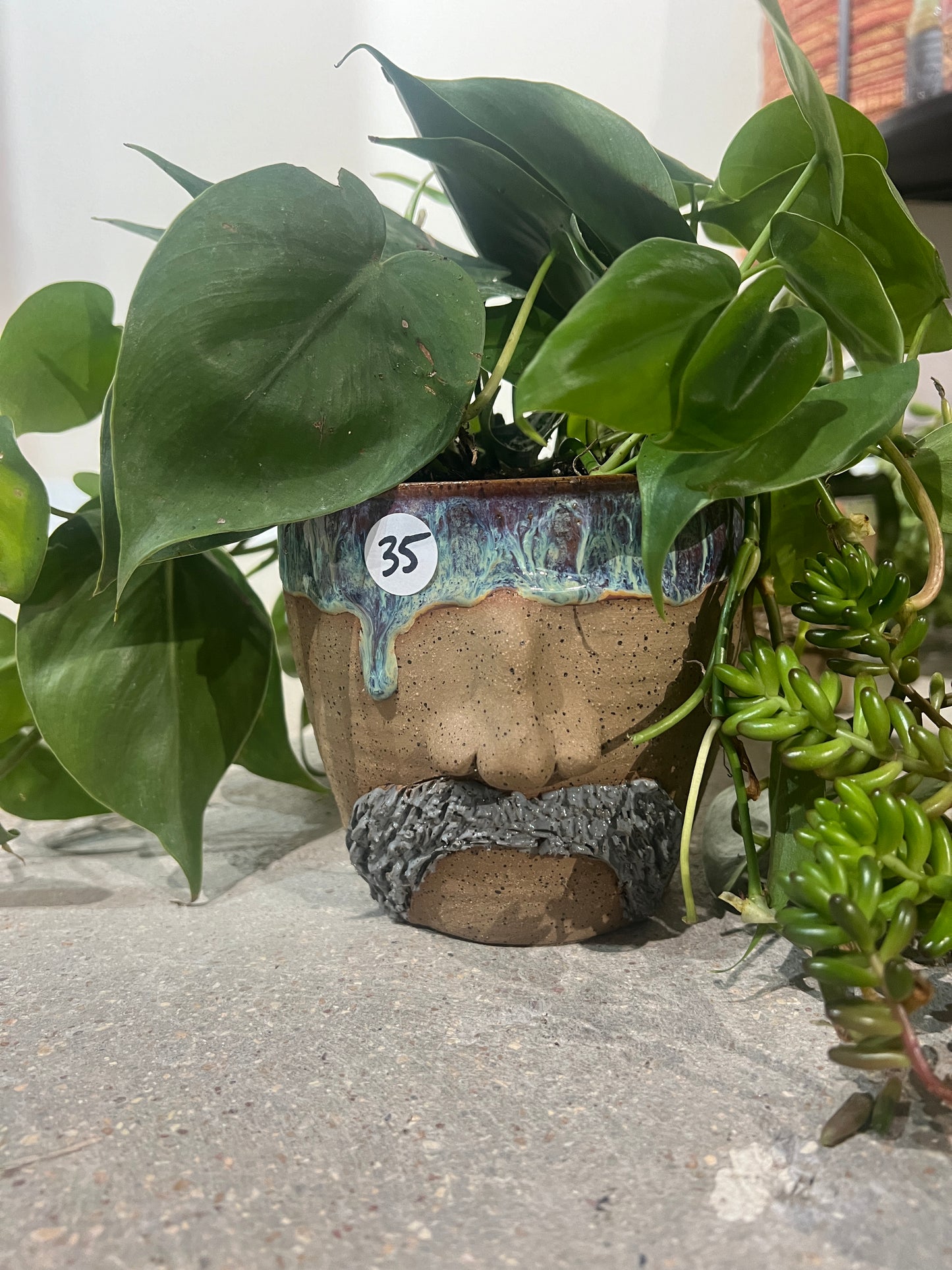 Plant Pot