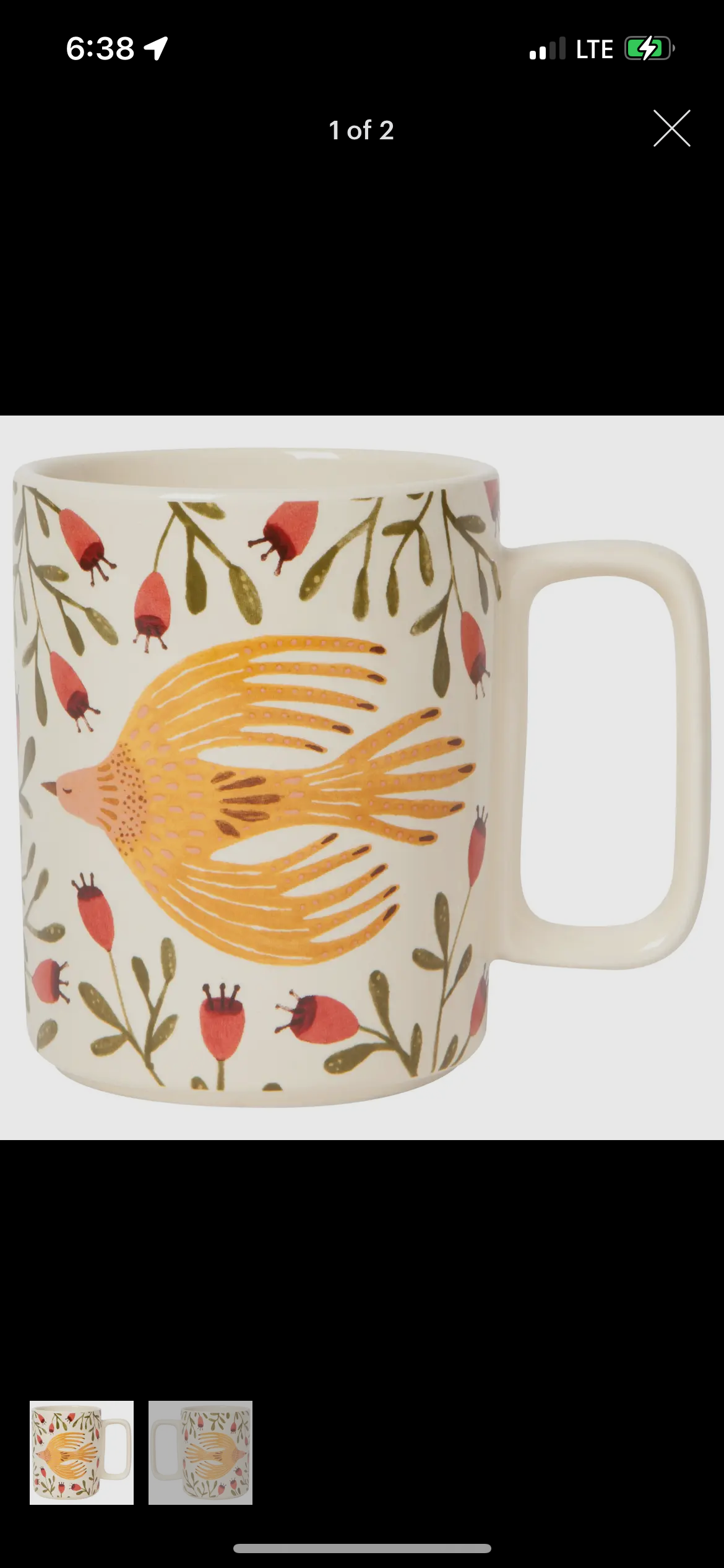 Song Bird Mug