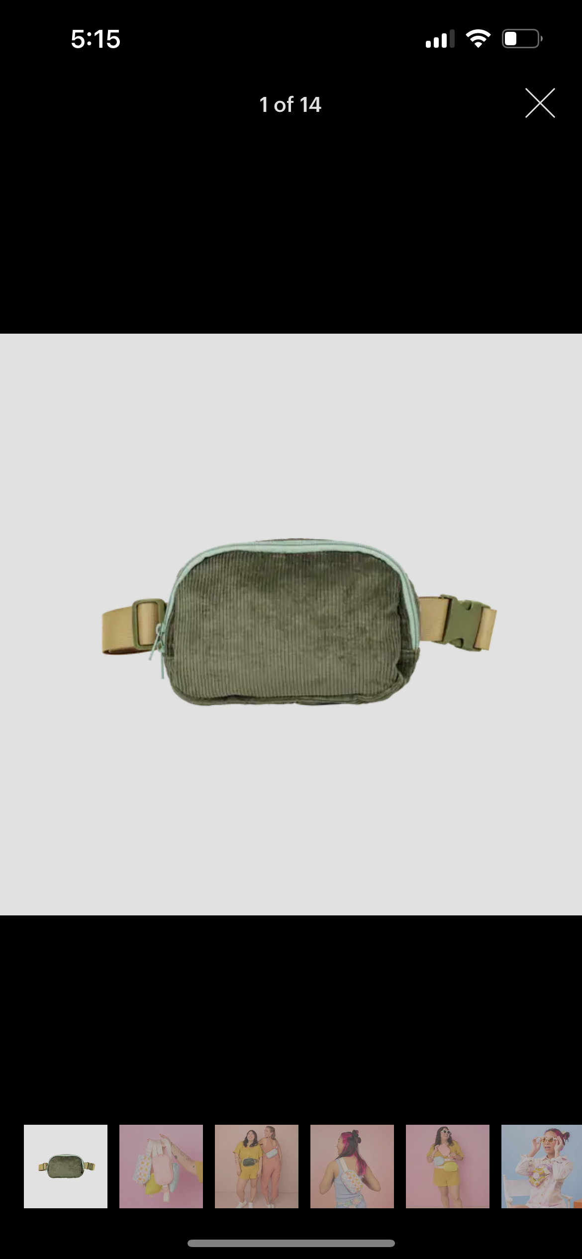 Simple Belt Bag