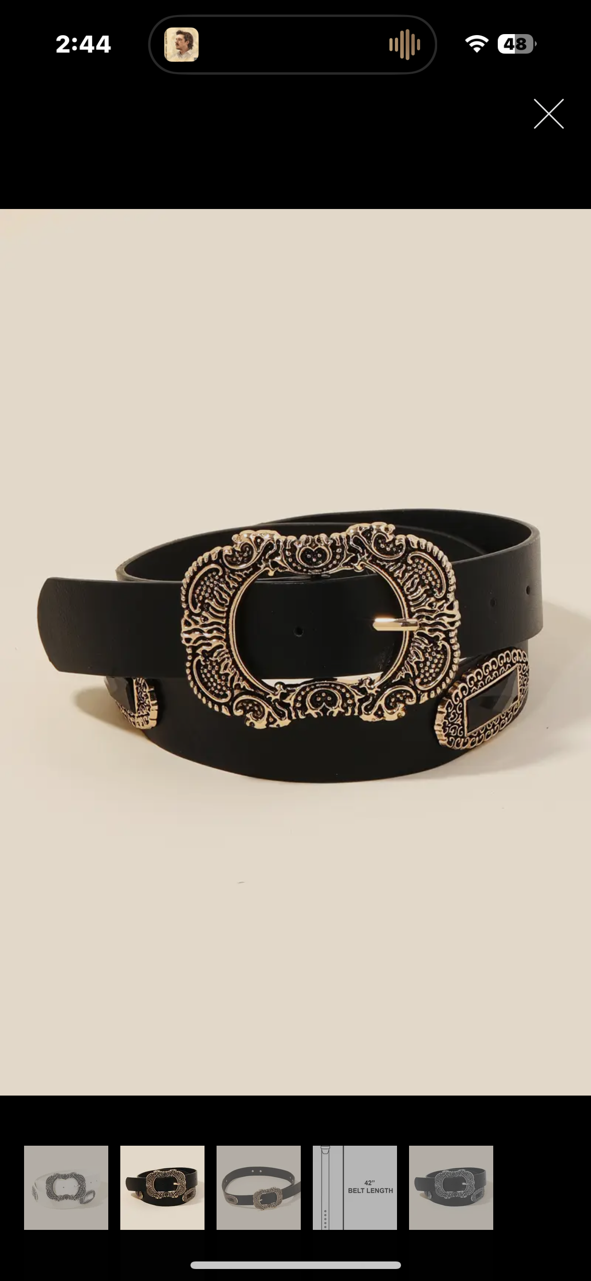 gold and black belt