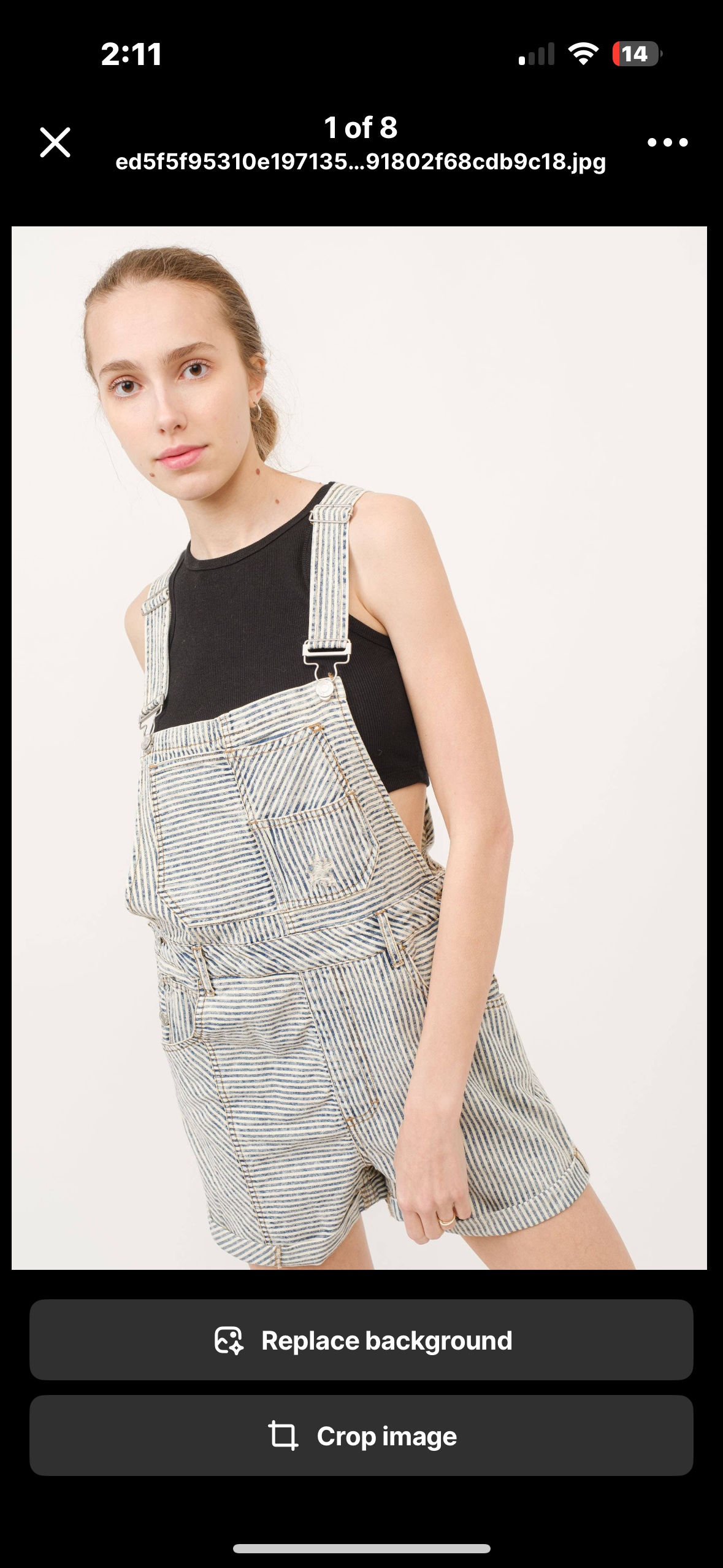 denim stripe overalls