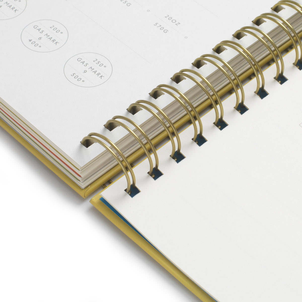 Hanging Fruit Recipe Journal