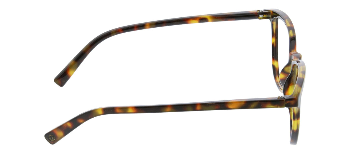 Bengal (Blue Light)