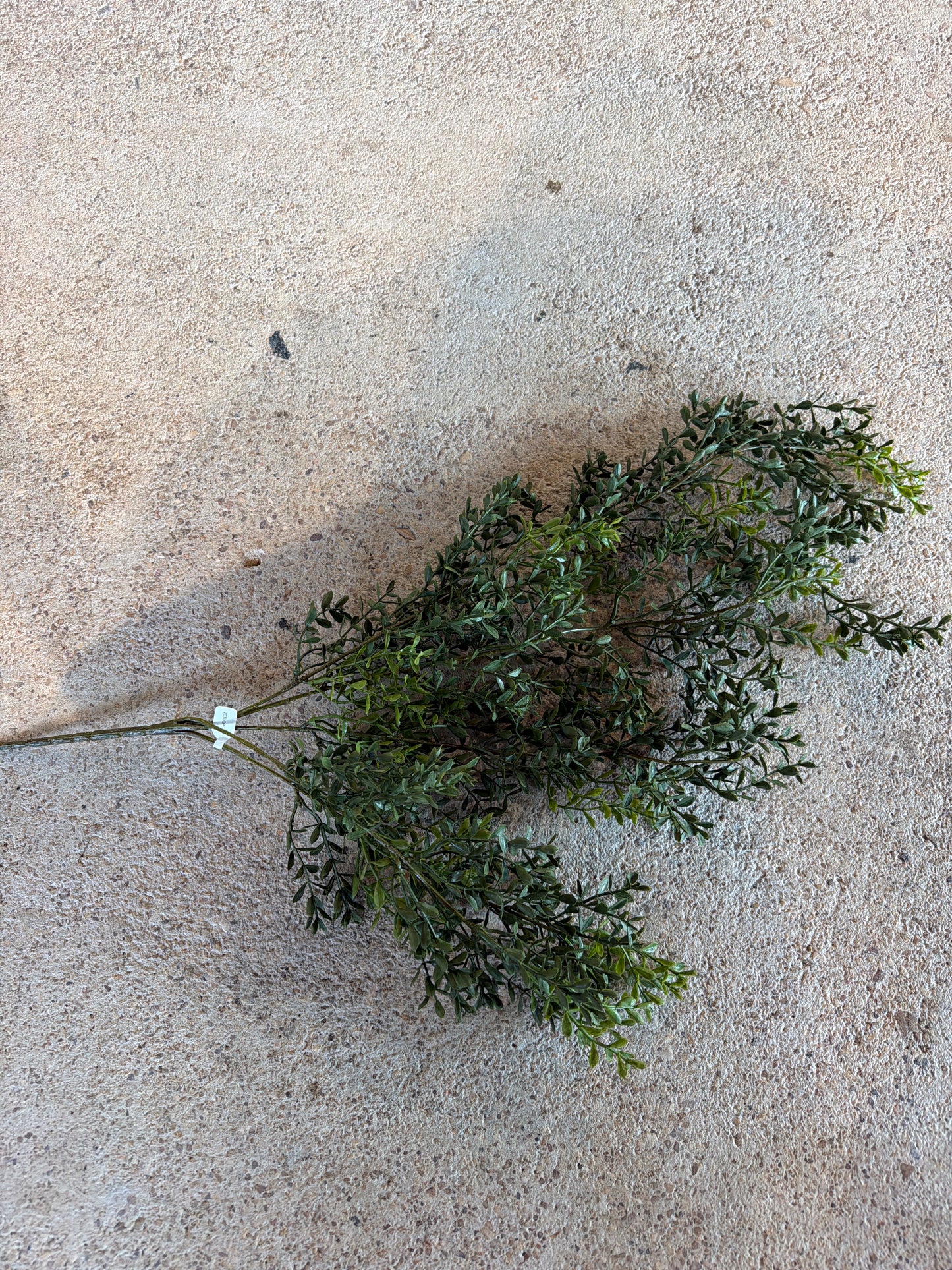 spring stem
