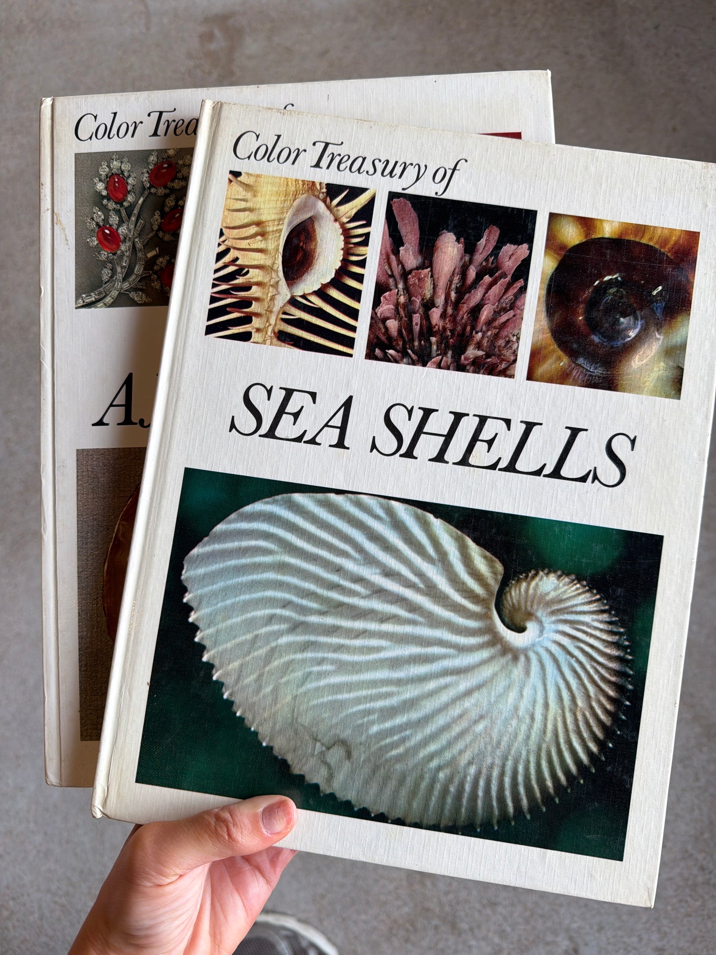 coffee table books