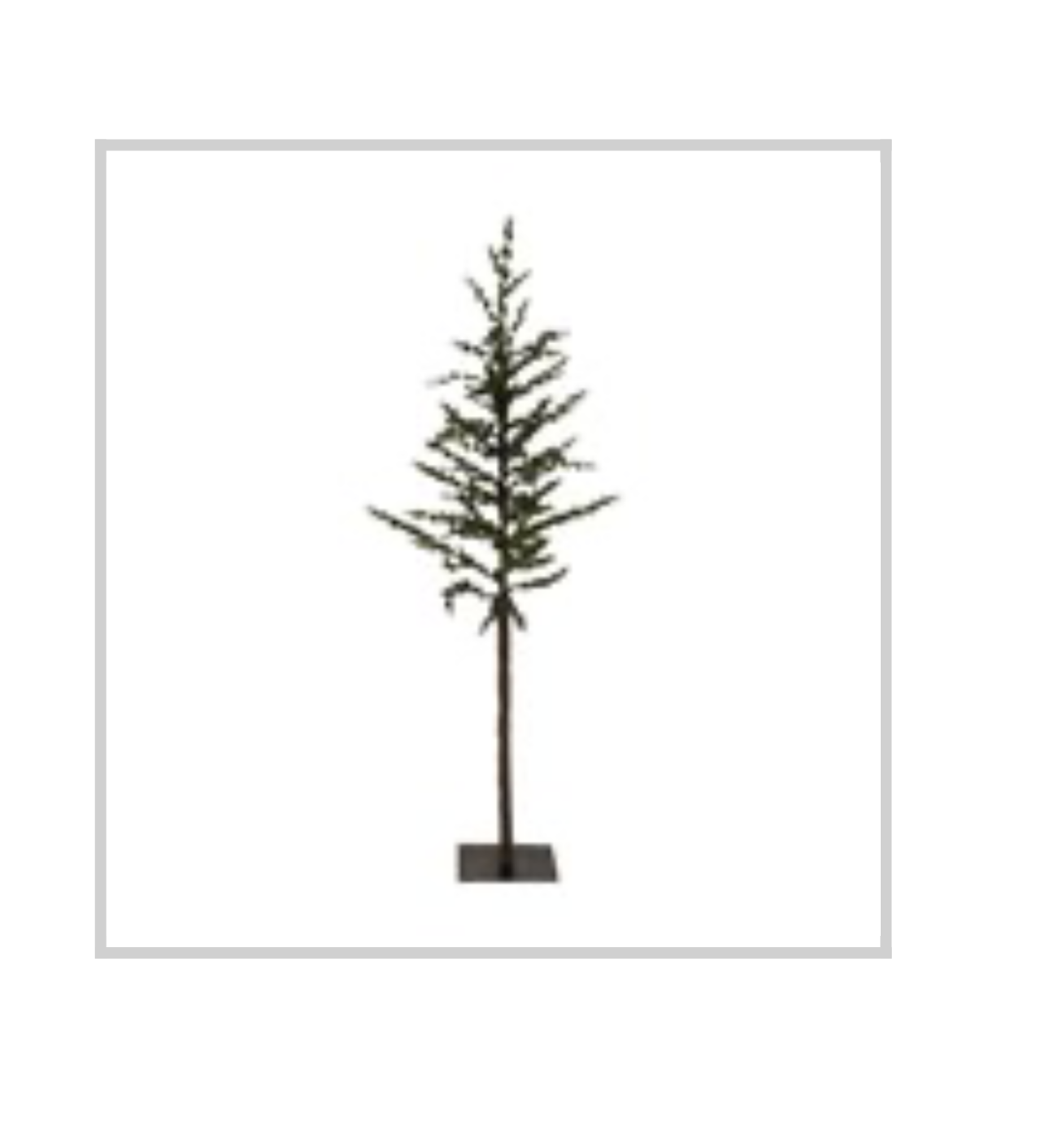 Large Pine