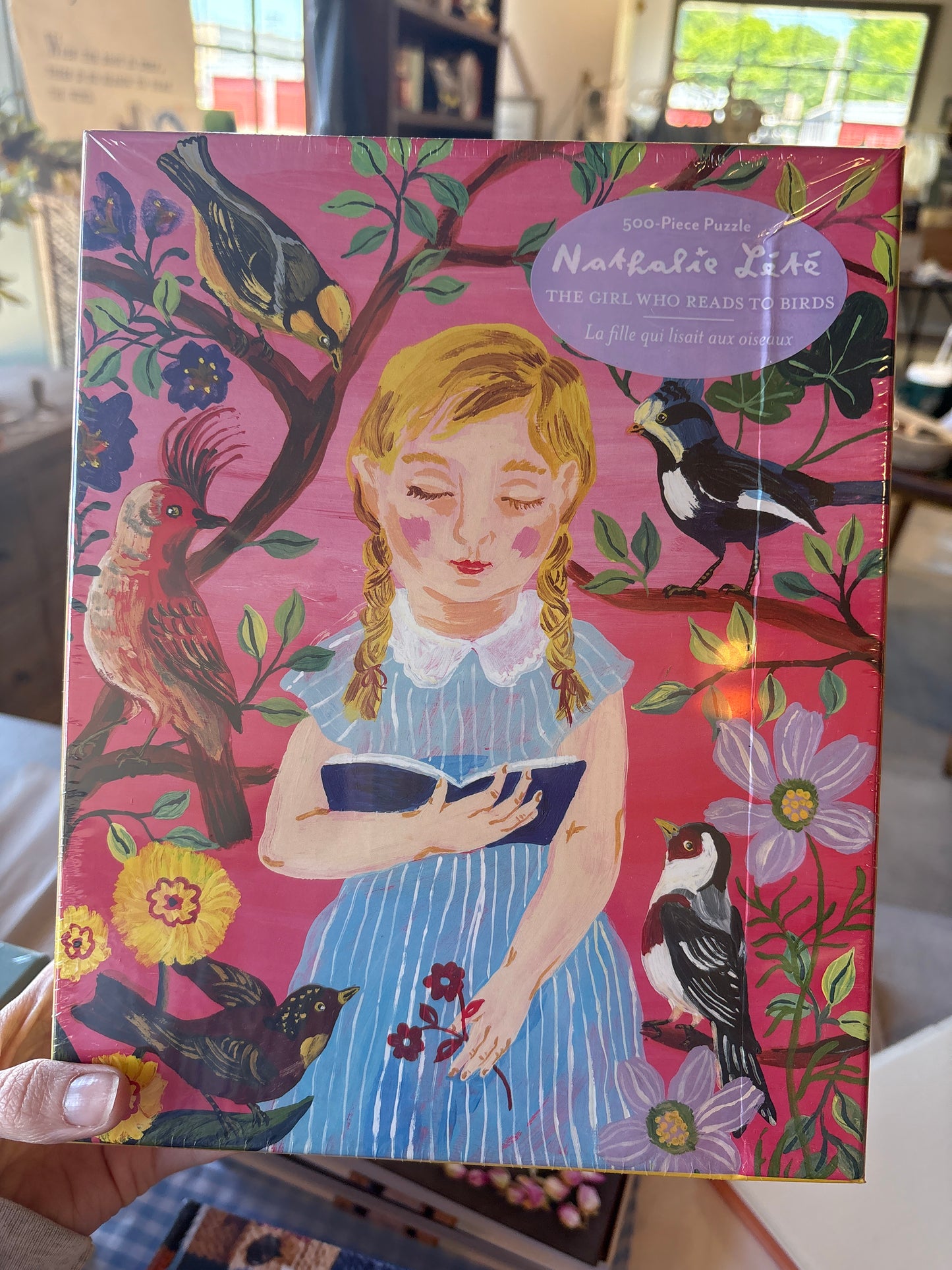 The Girl Who Reads To Birds