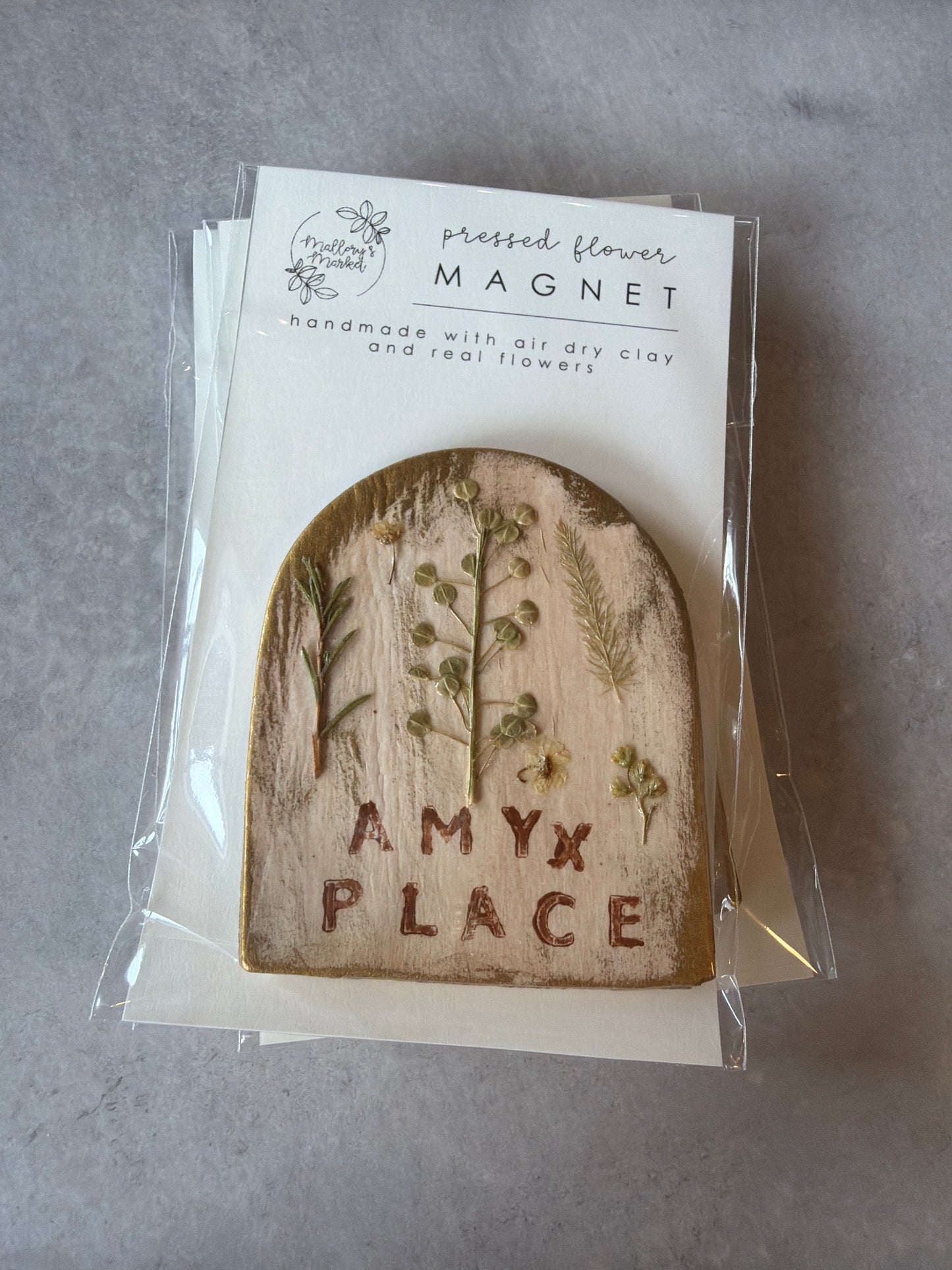amyx place magnet