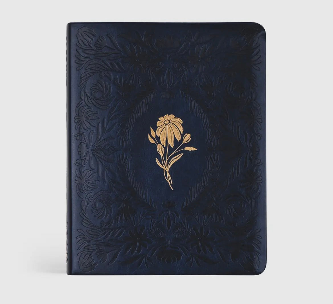 NLT Notetaking Bible