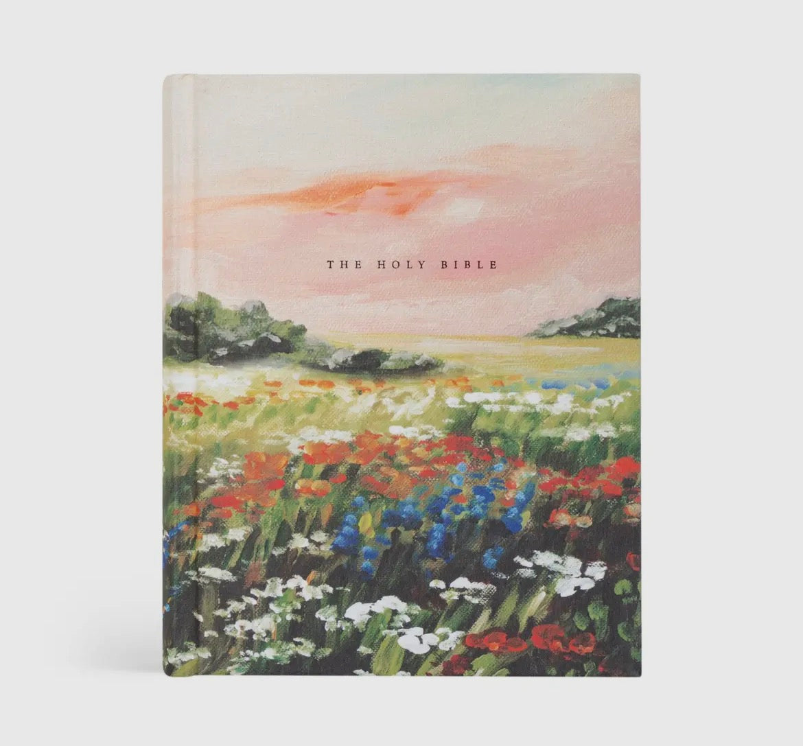 NLT Notetaking Bible