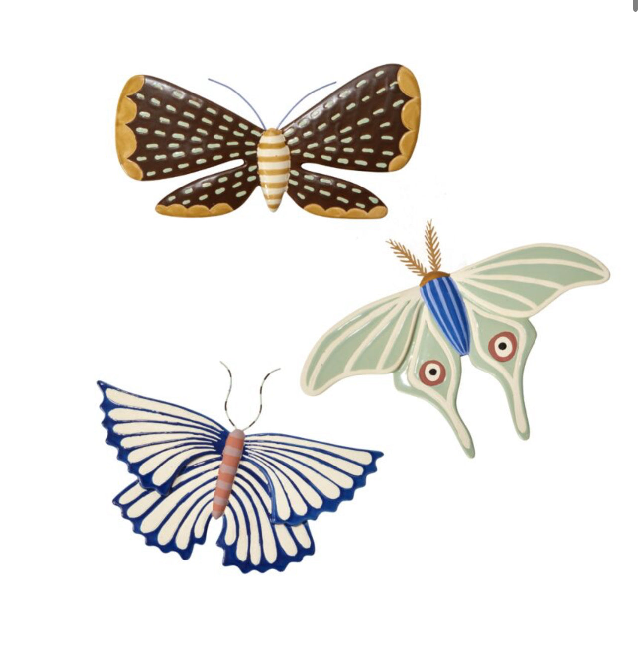 Moth Wall Art