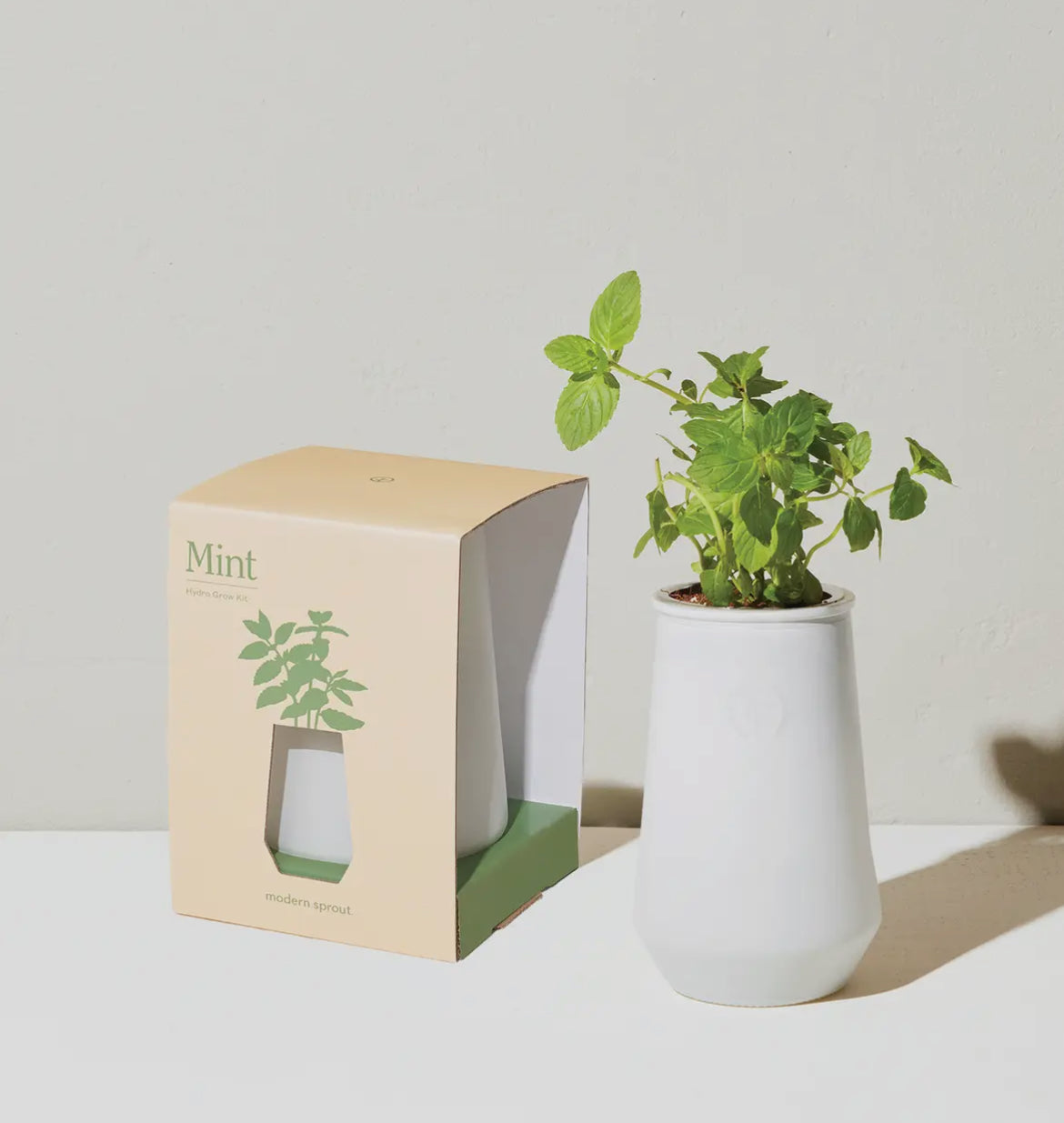 Hydro grow kit
