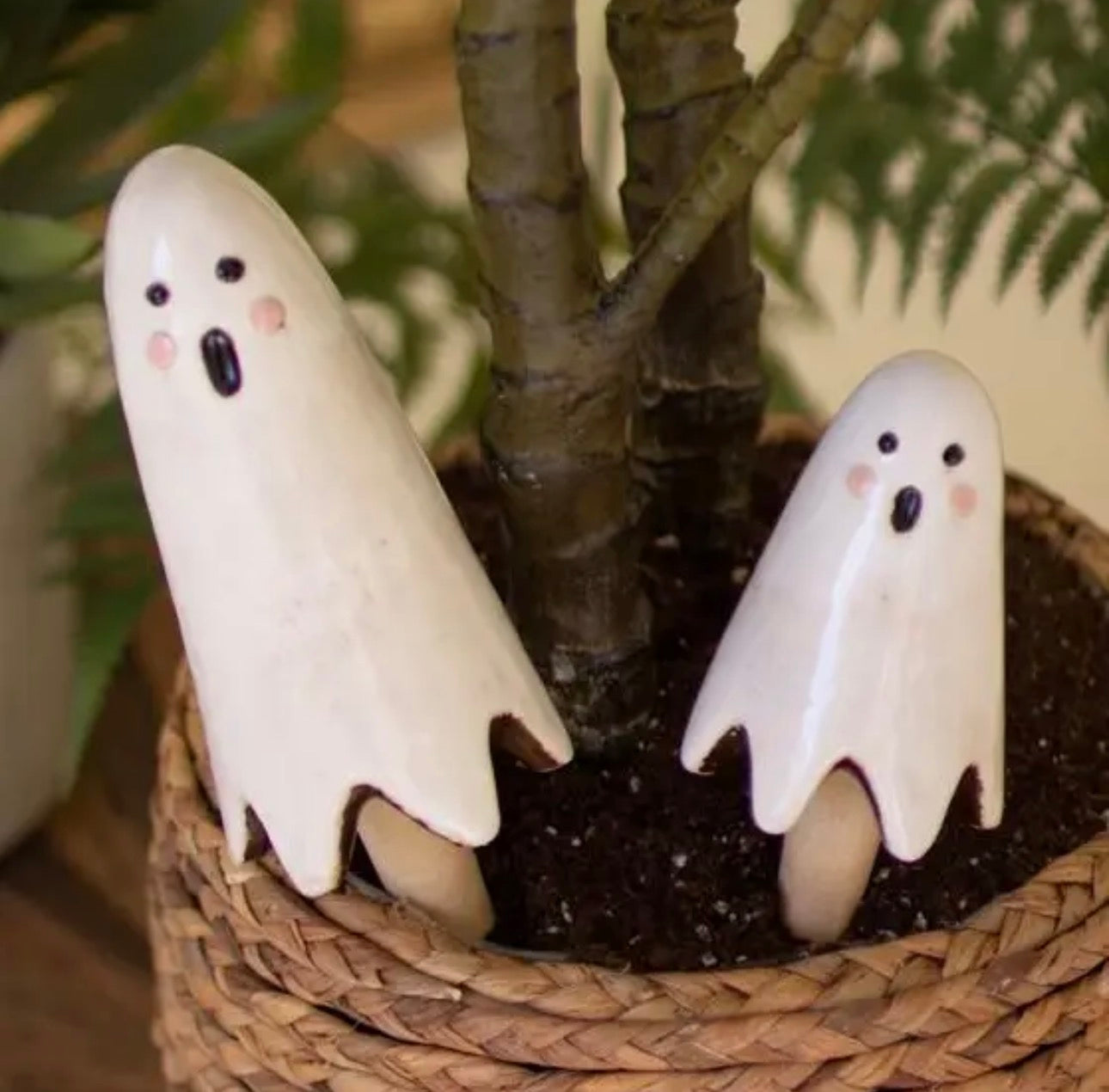 Ghost Plant Sticks