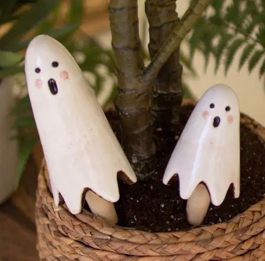 Ghost Plant Sticks