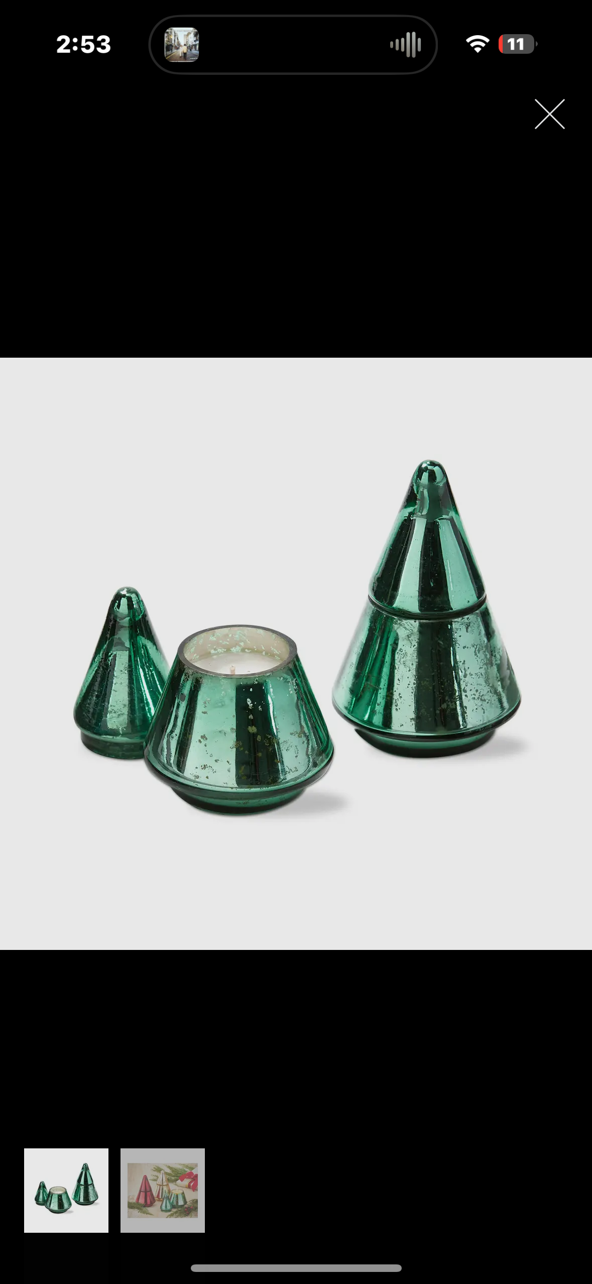 evergreen tree candle