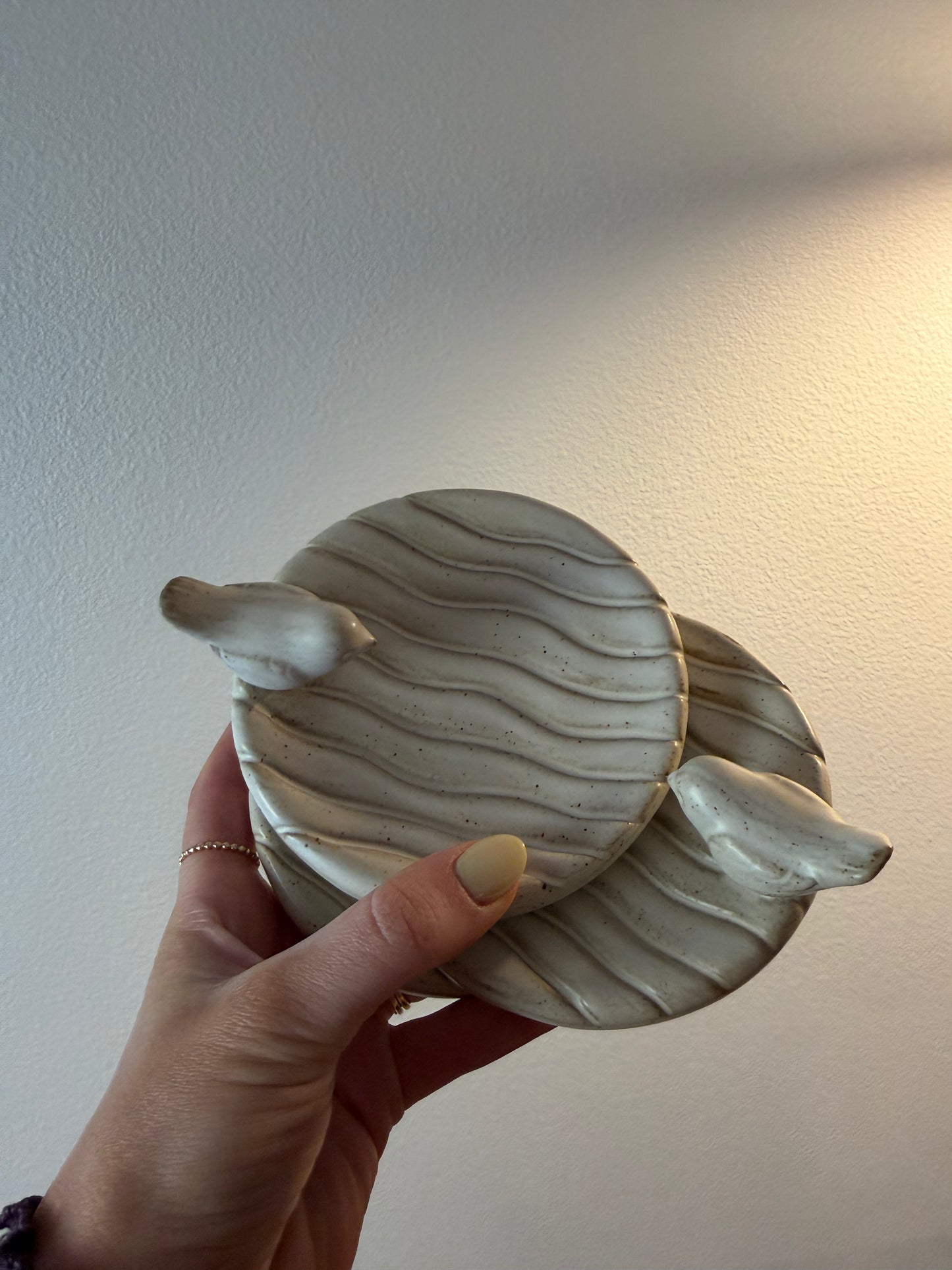 bird dish