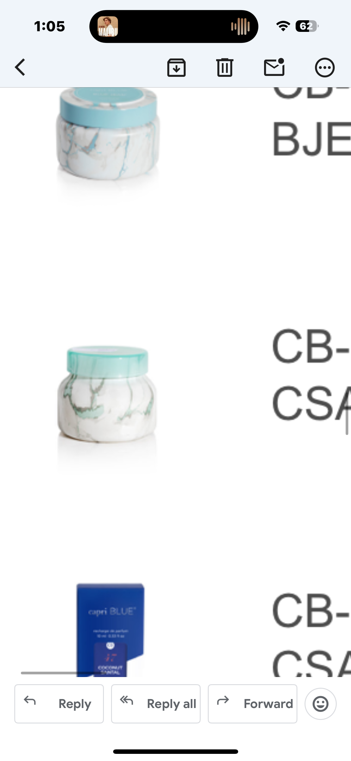 coconut santal