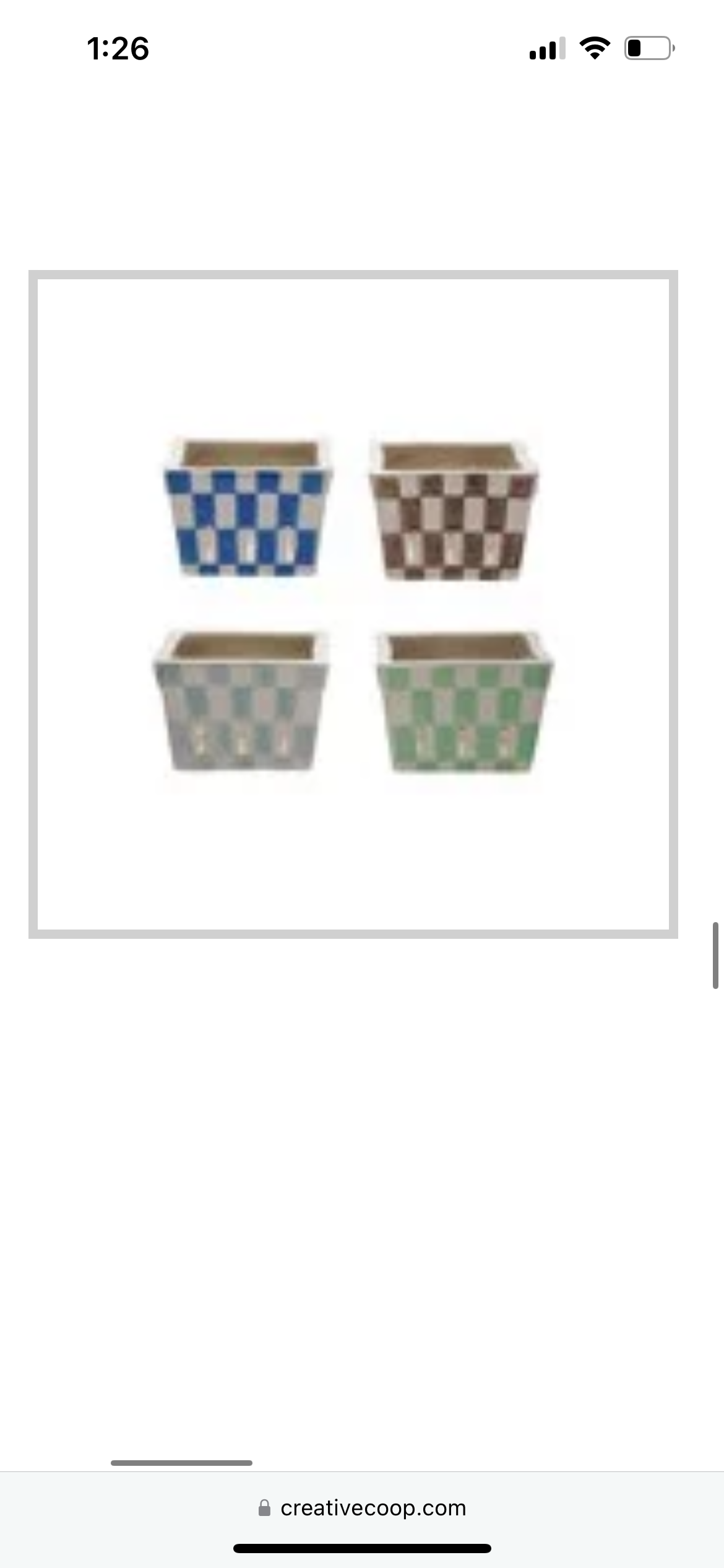 Checkered Berry Basket