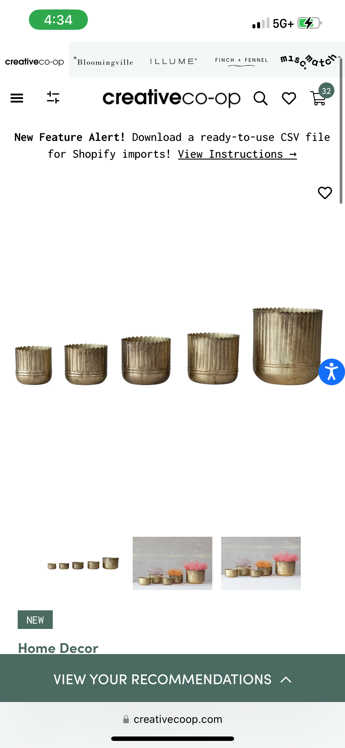 Scalloped Rim Planter