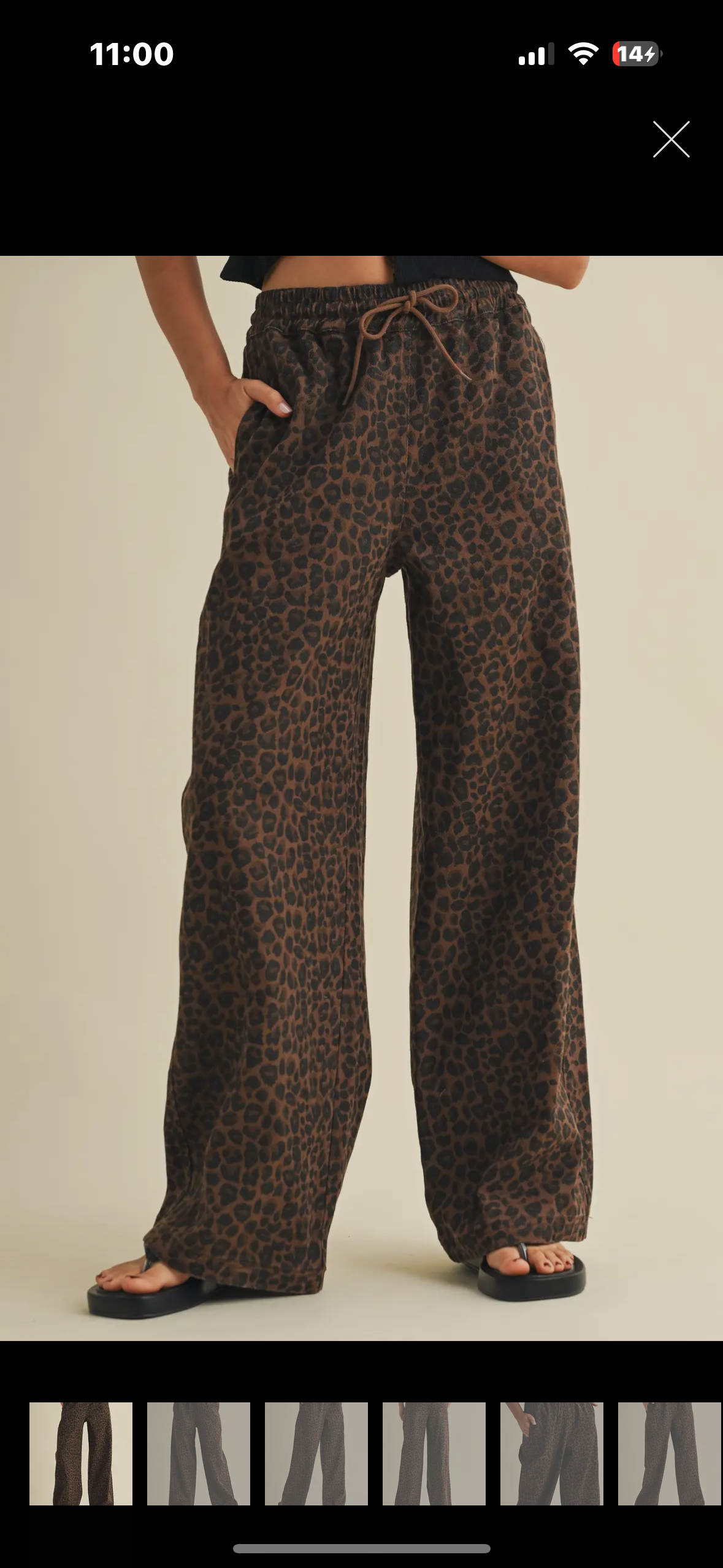 leopard track pants