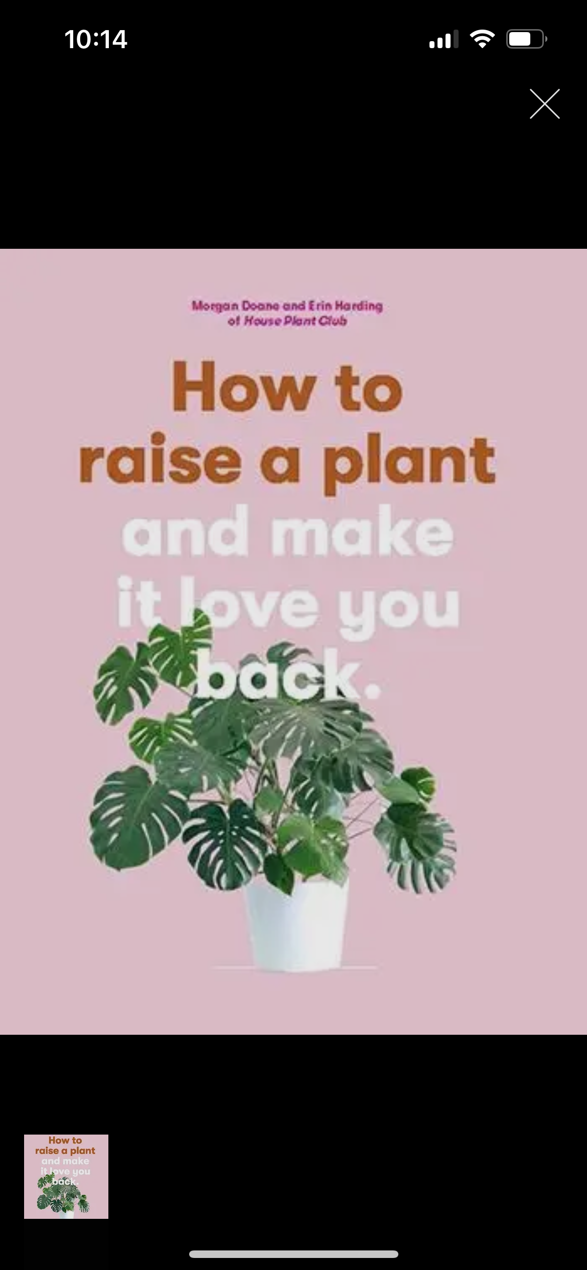 How To Raise a Plant
