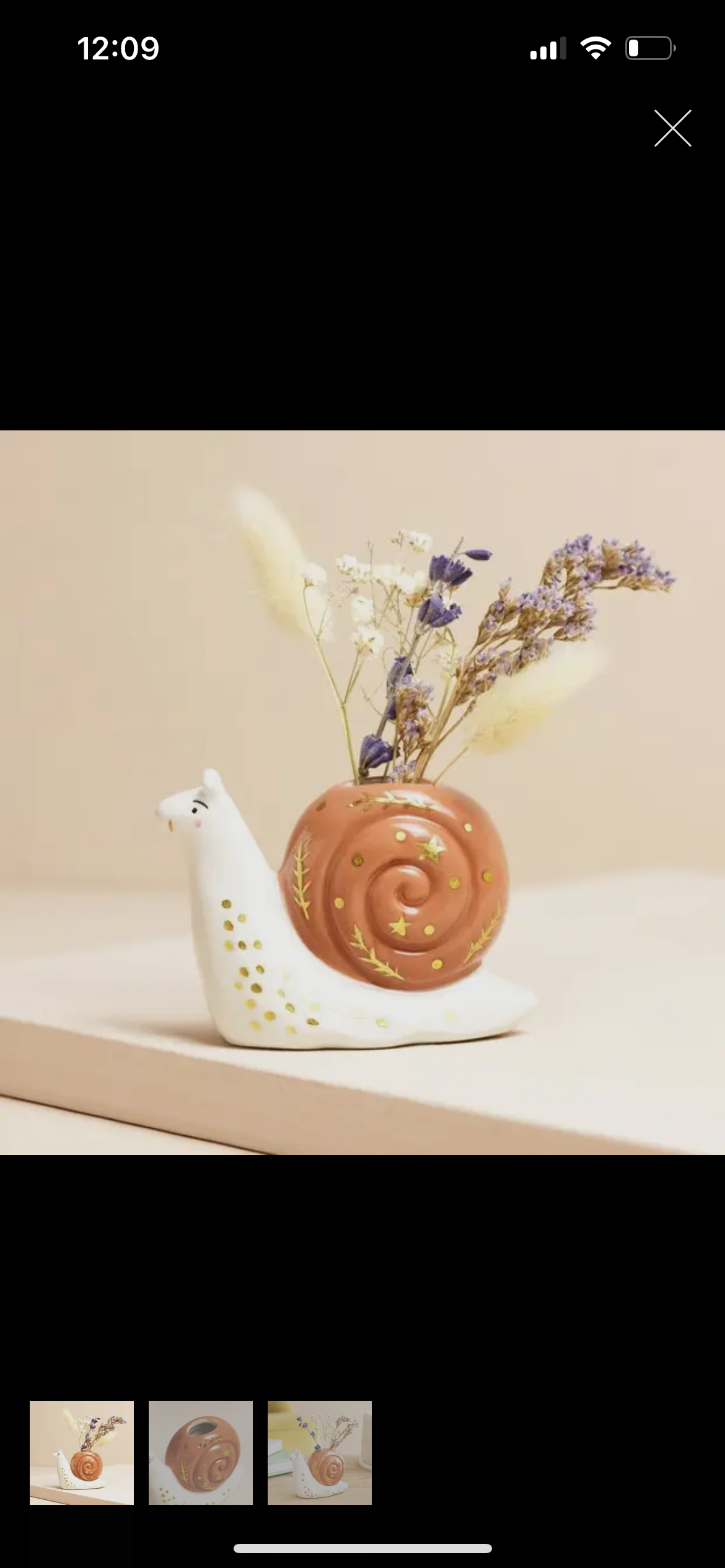 Snail Bud Vase