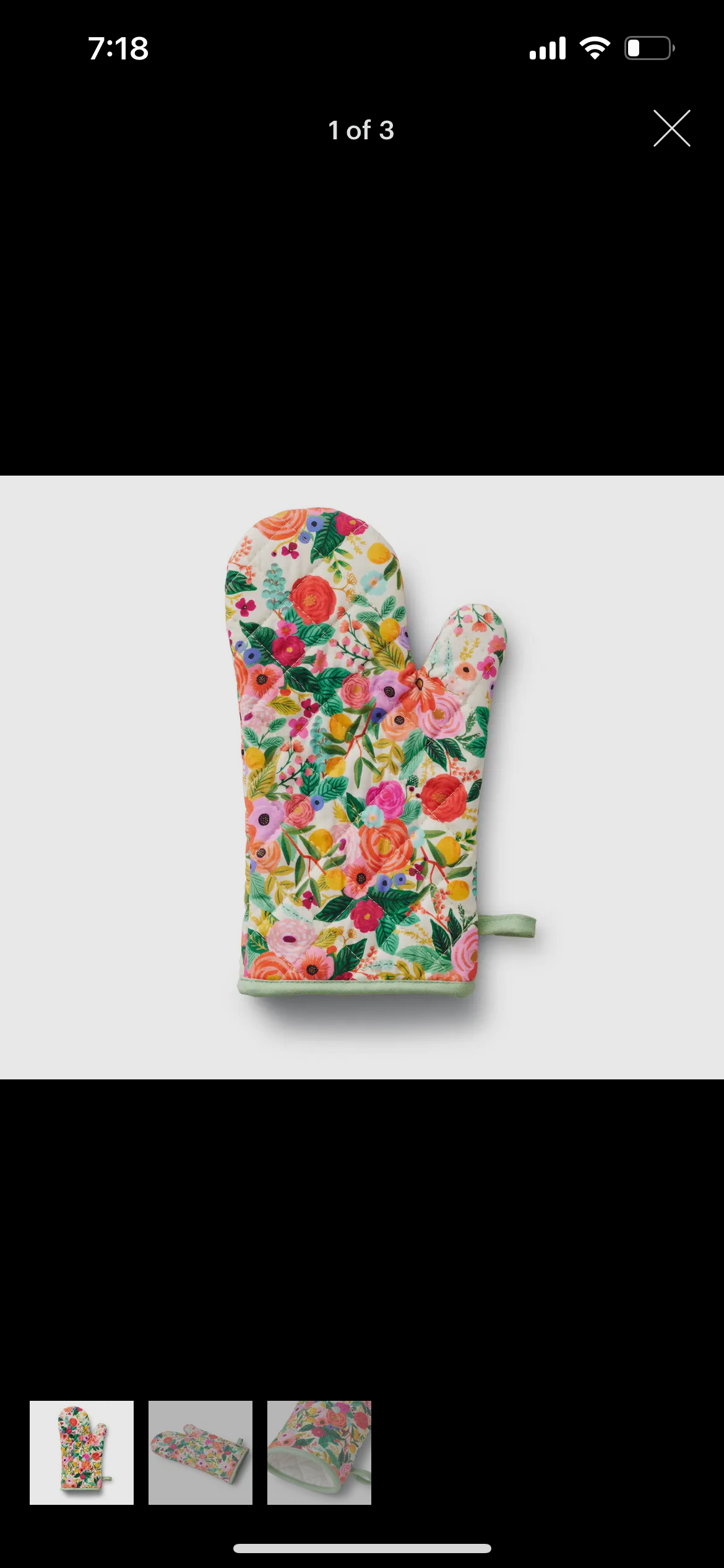 Garden Party Oven Mitt