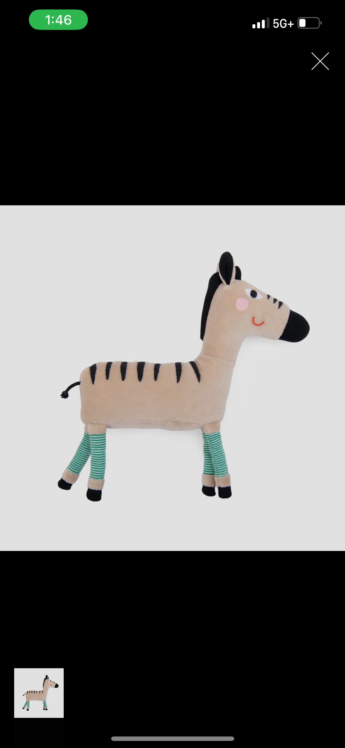 Zebra Rattle