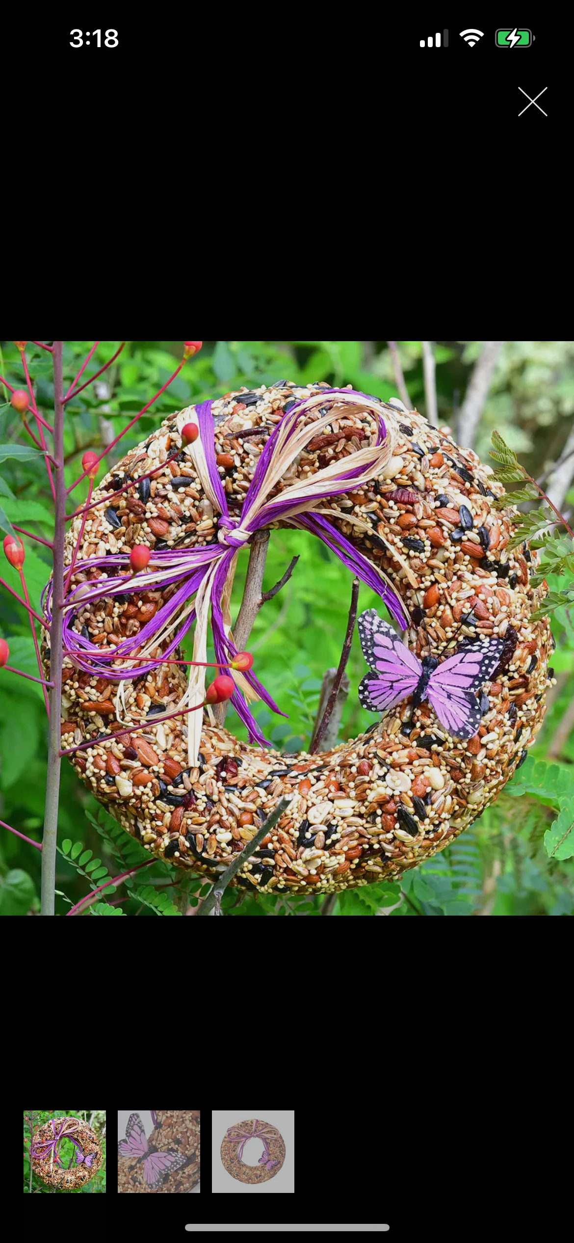 Bird Seed Wreath