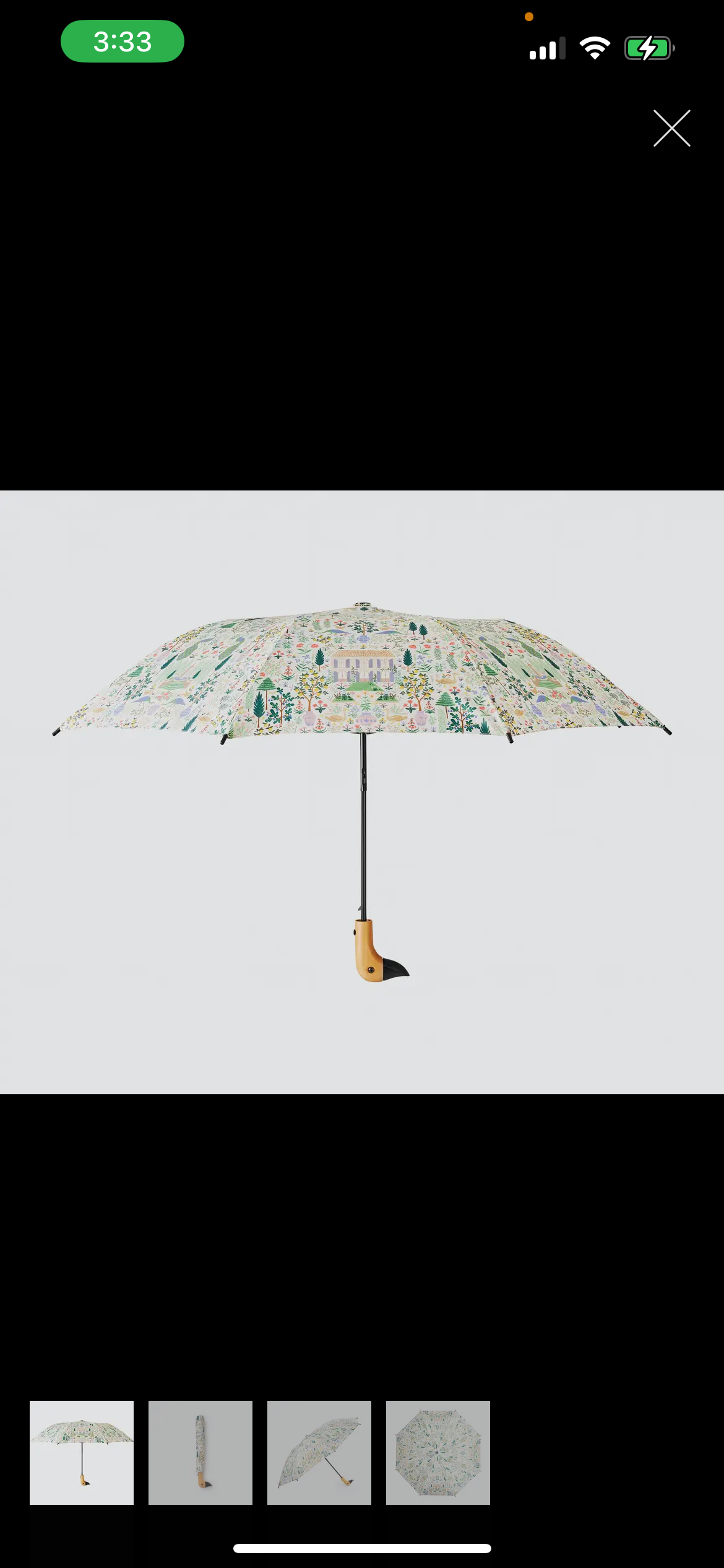 Duck Handle Umbrella