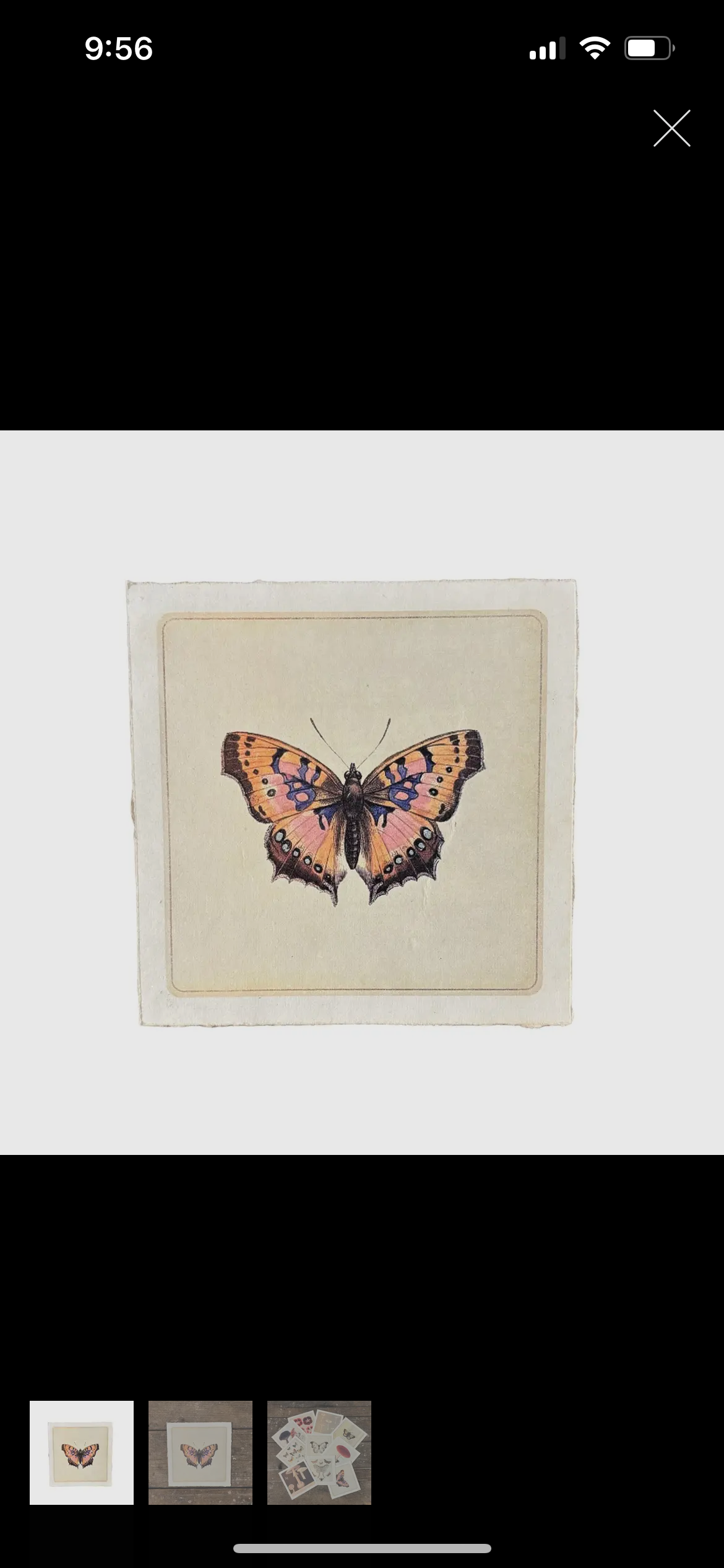 8x8 Butterfly Print