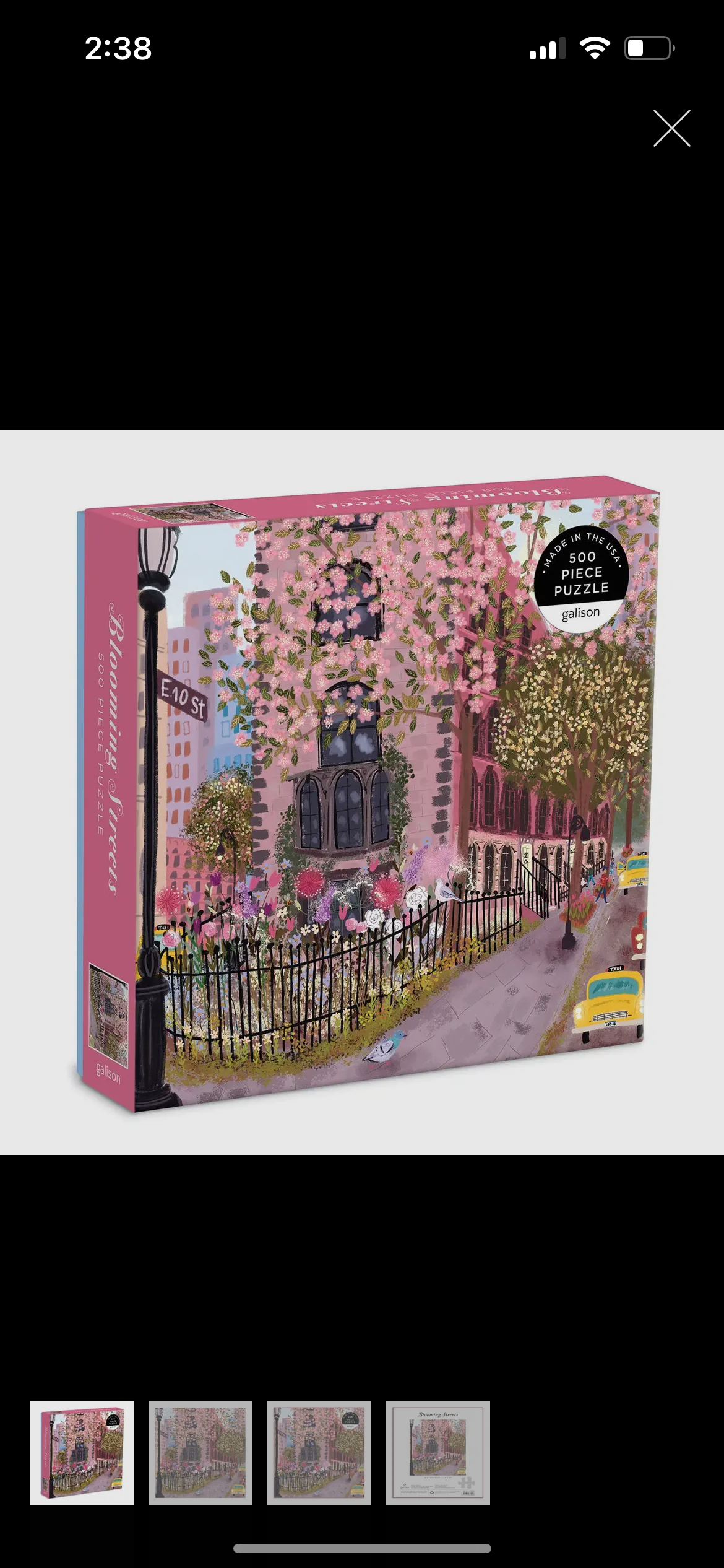 Blooming Street Puzzle