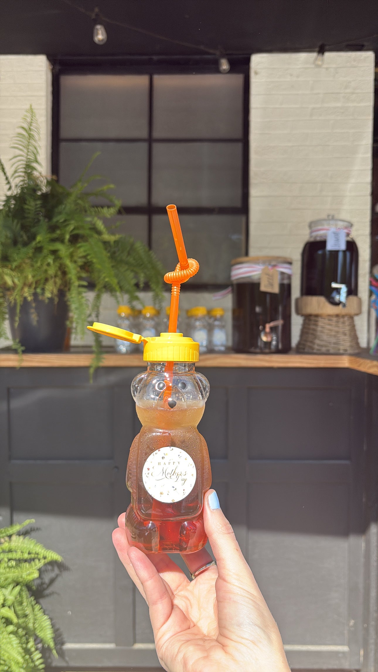 Tea Bear