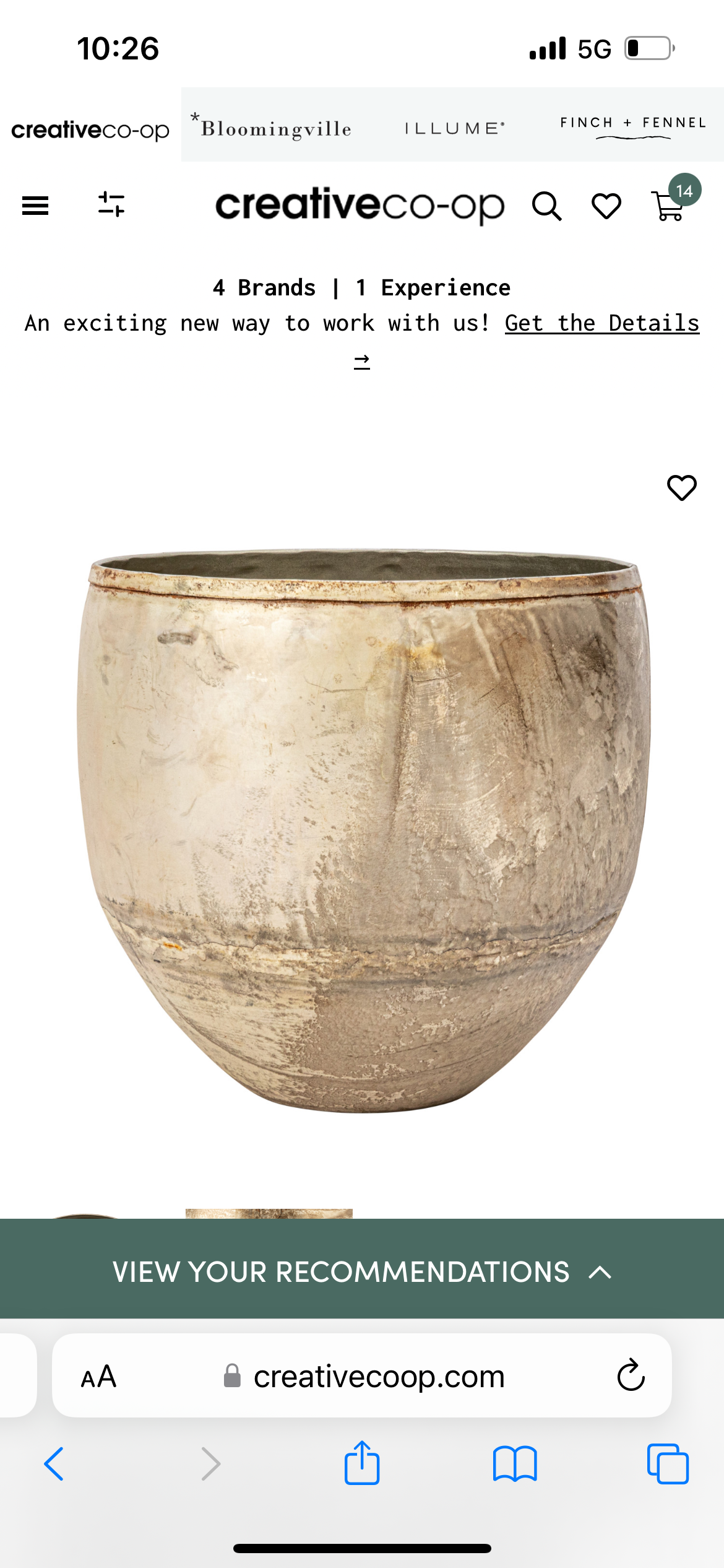 Large Brass Planter